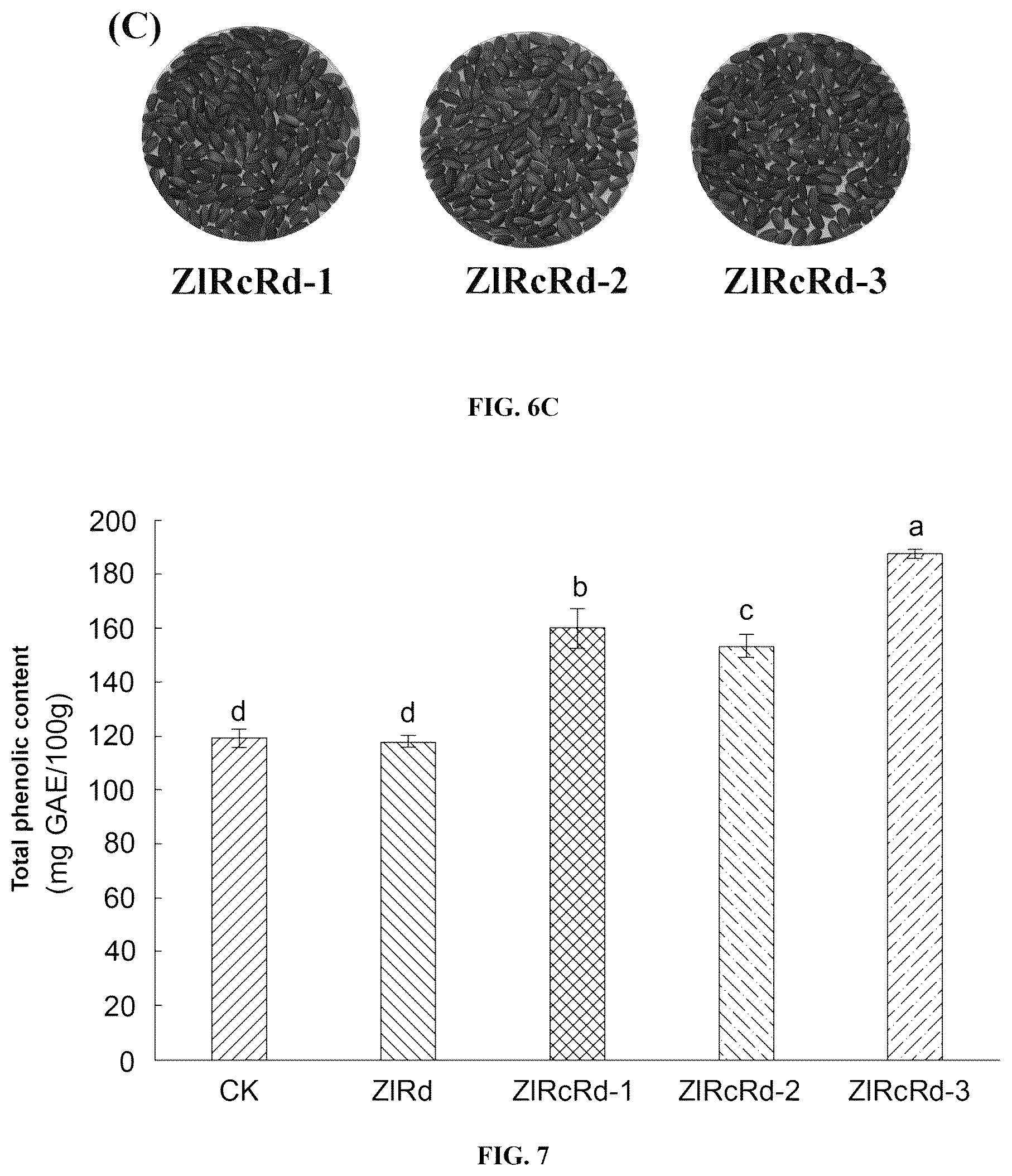 Patent US12480133 Figure 6 – Use of pyramid of ZlRc and ZlRd genes from Zizania latifolia in increasing polyphenol content of rice seed