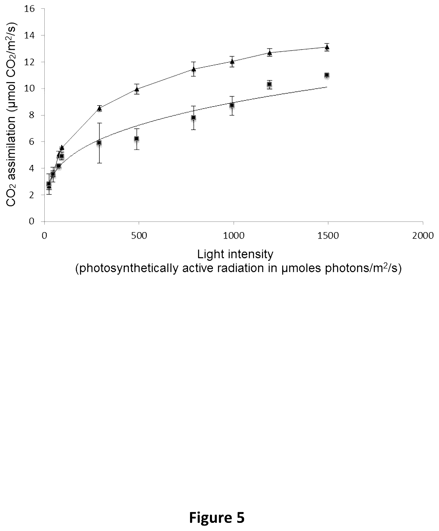 Patent US12480134 Figure 5 – Plants with increased yield and method for producing said plants