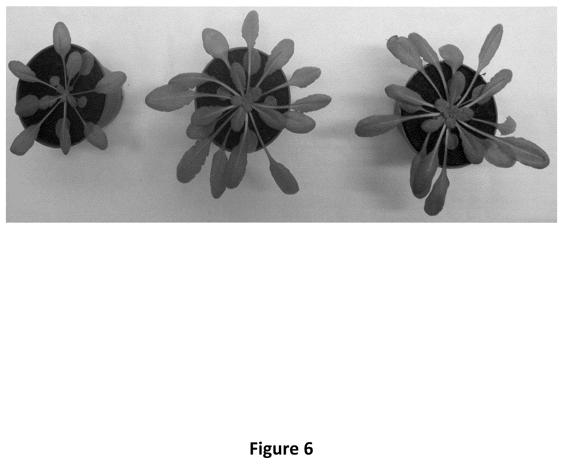 Patent US12480134 Figure 6 – Plants with increased yield and method for producing said plants