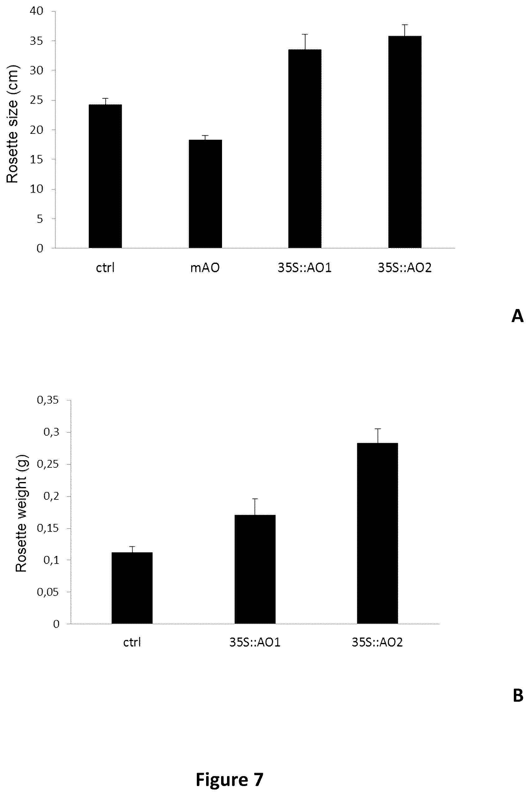Patent US12480134 Figure 7 – Plants with increased yield and method for producing said plants