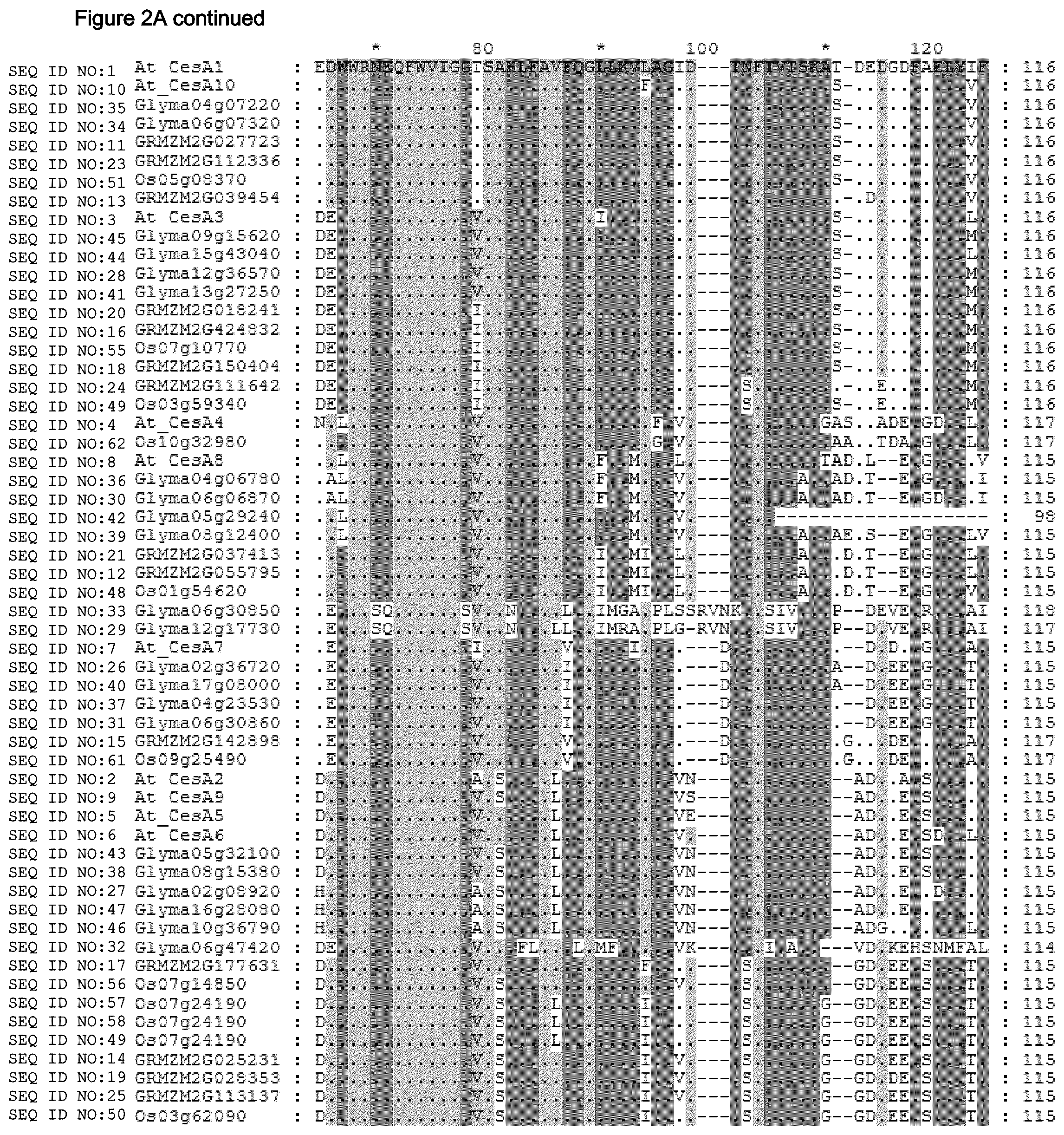 Patent US12480137 Figure 5 – Plants having increased tolerance to herbicides