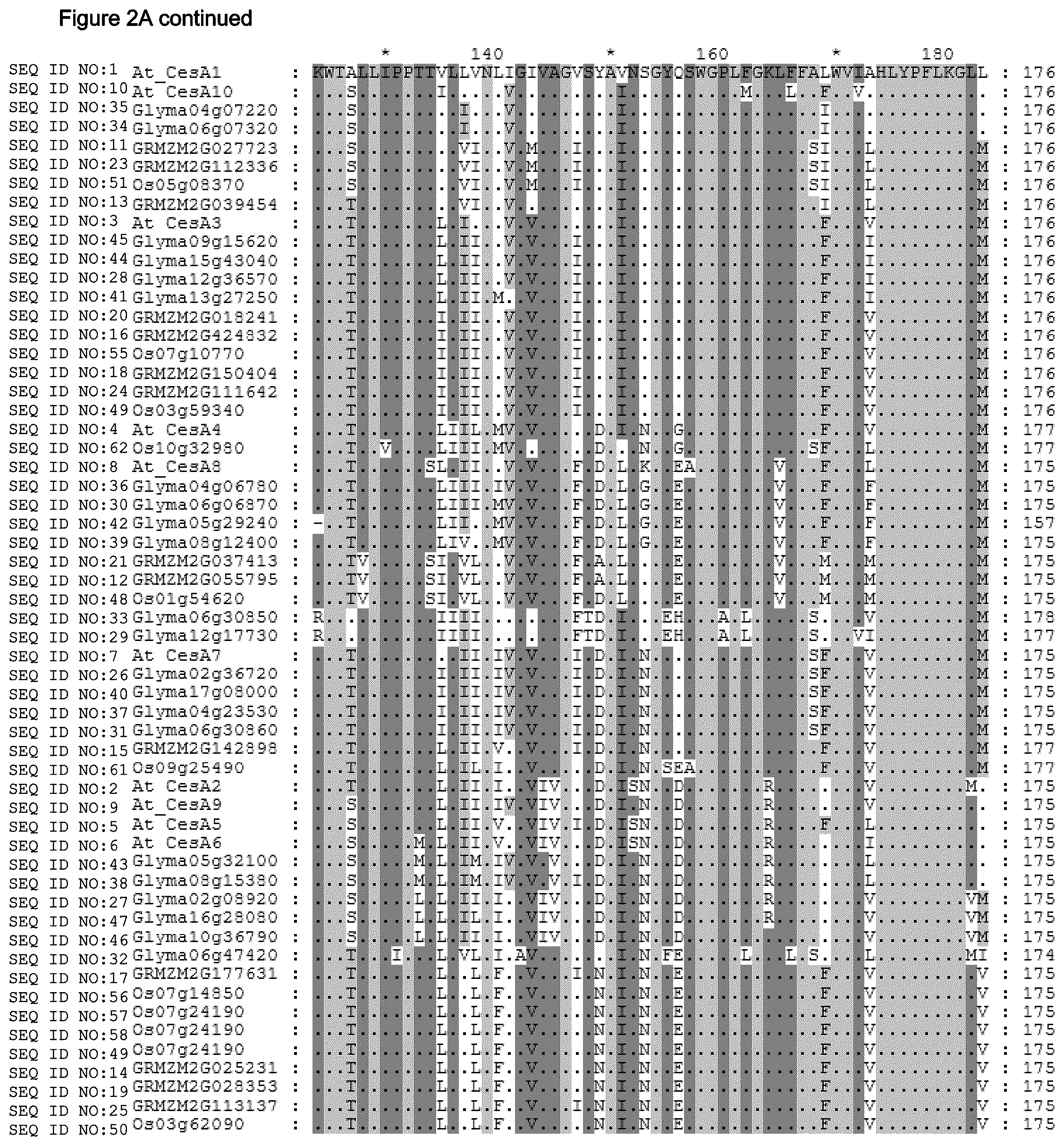 Patent US12480137 Figure 6 – Plants having increased tolerance to herbicides