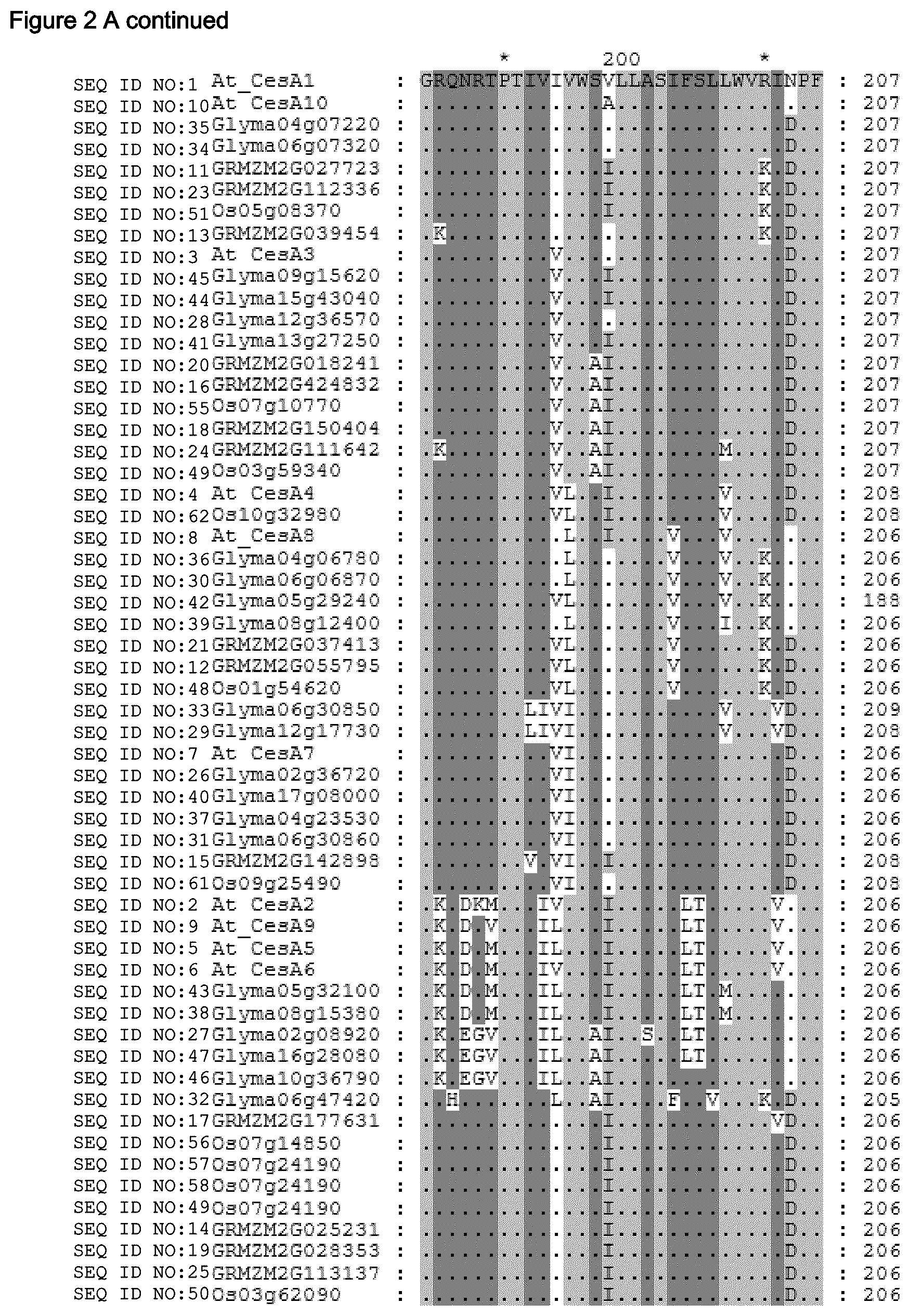 Patent US12480137 Figure 7 – Plants having increased tolerance to herbicides
