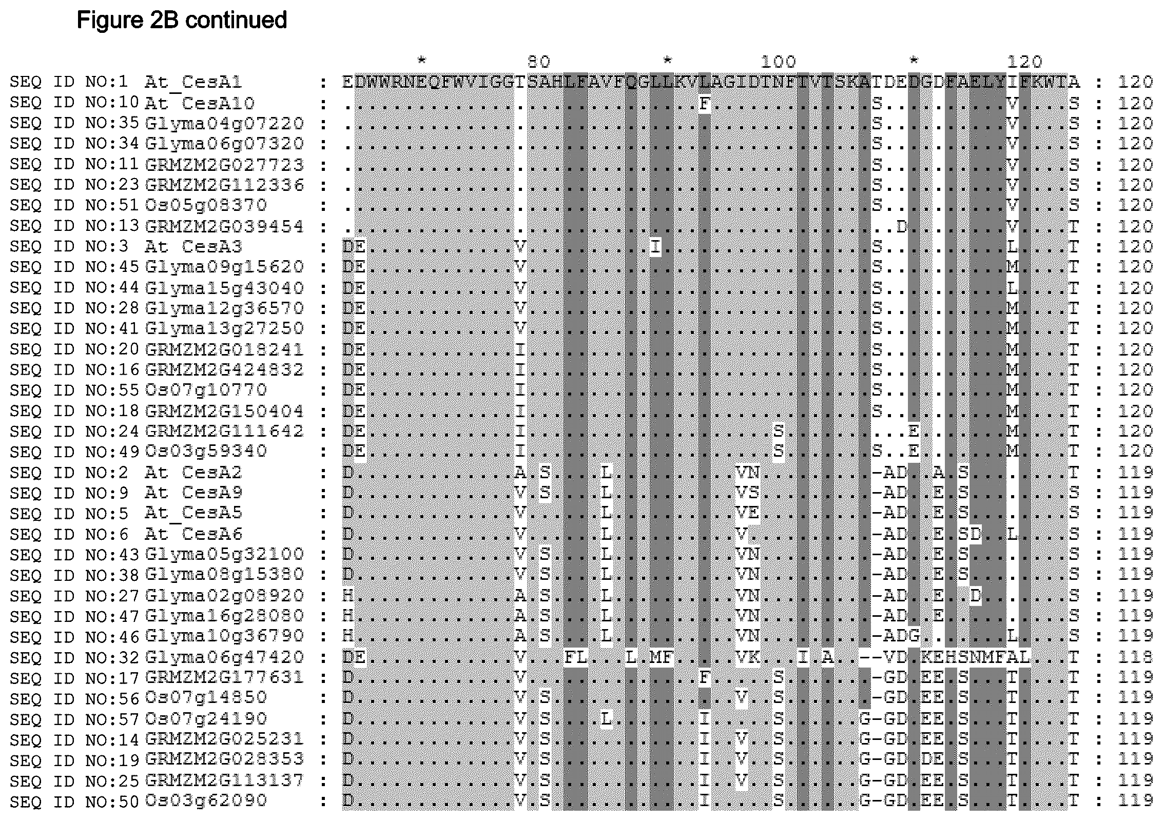 Patent US12480137 Figure 9 – Plants having increased tolerance to herbicides