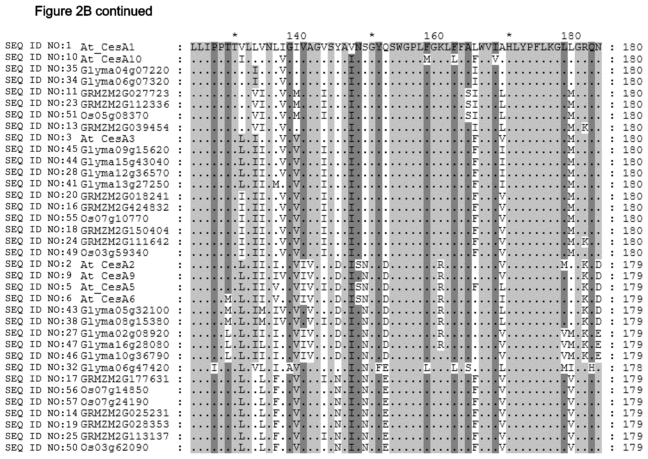 Patent US12480137 Figure 10 – Plants having increased tolerance to herbicides