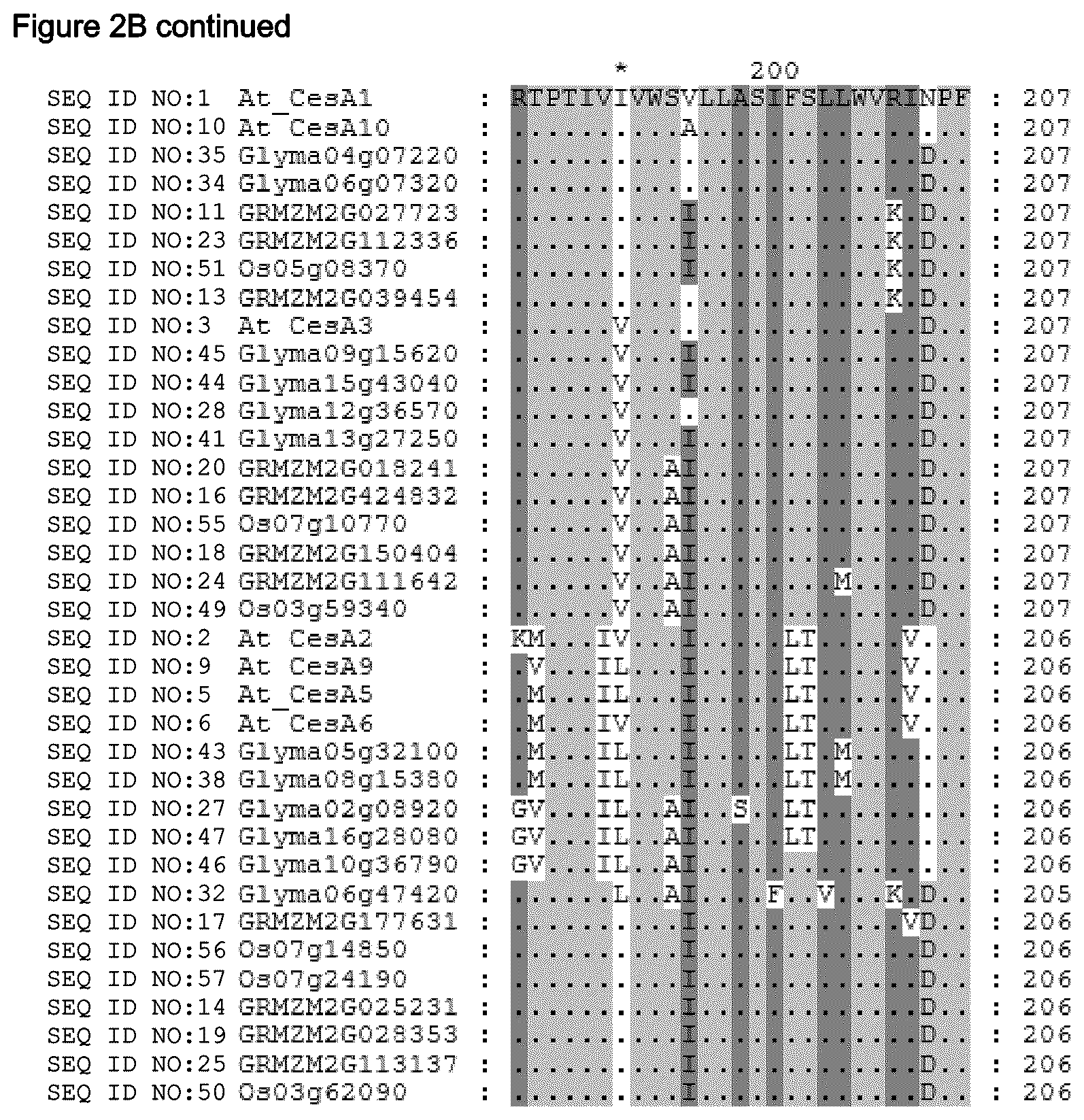 Patent US12480137 Figure 11 – Plants having increased tolerance to herbicides