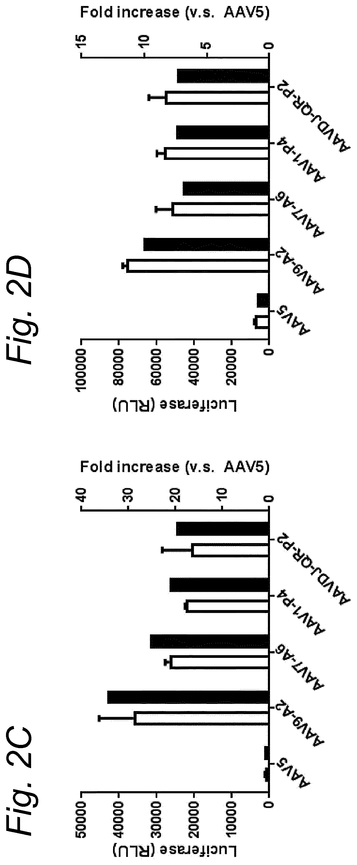 Patent US12480138 Figure 5 – Modified rAAV capsid protein for gene therapy