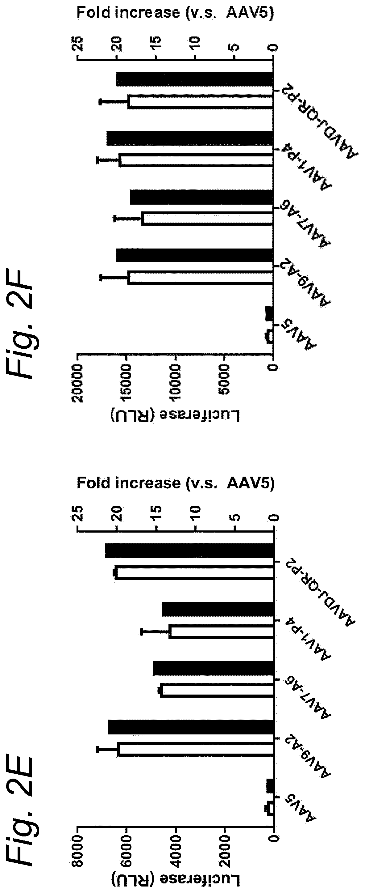 Patent US12480138 Figure 6 – Modified rAAV capsid protein for gene therapy