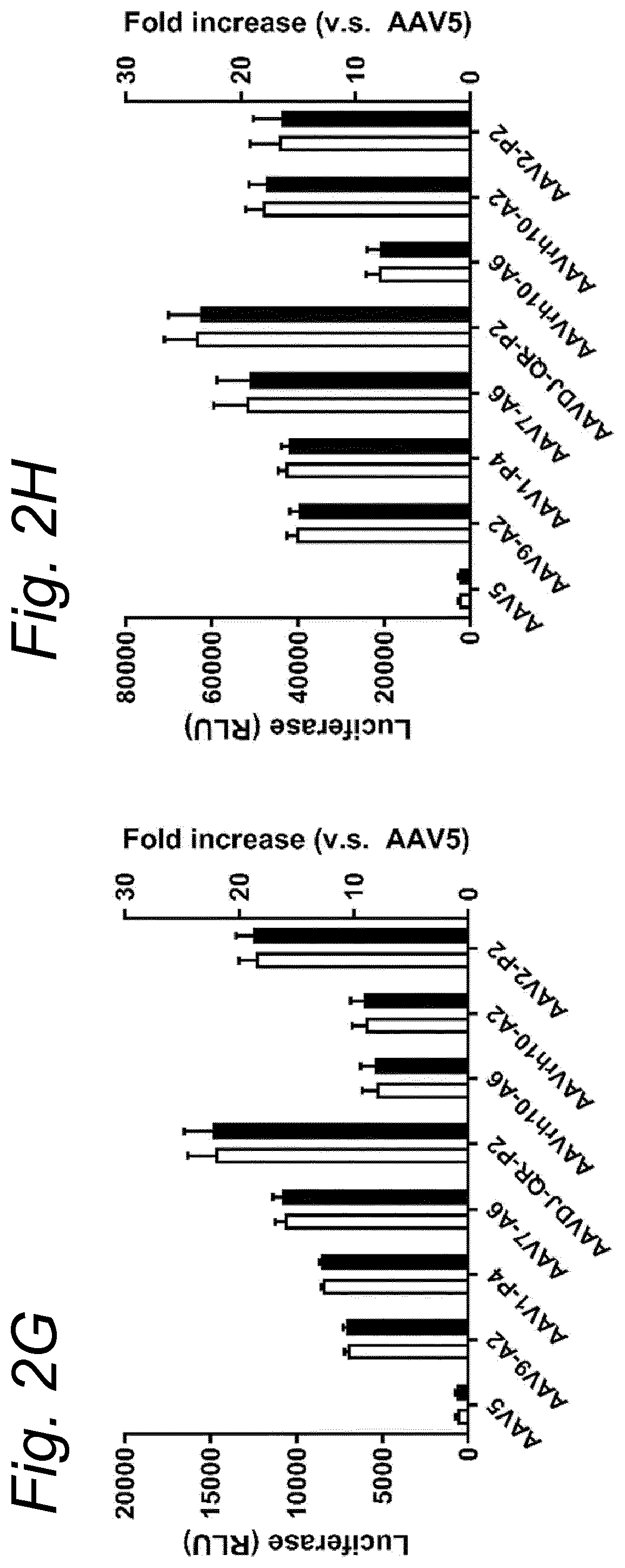 Patent US12480138 Figure 7 – Modified rAAV capsid protein for gene therapy