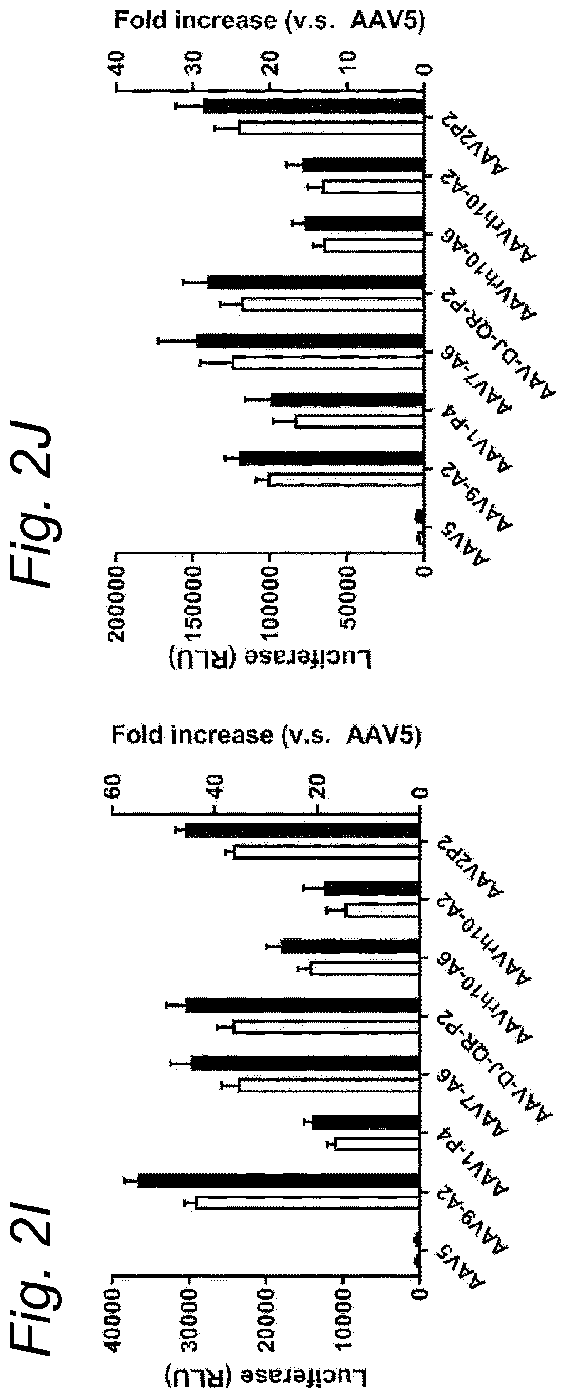 Patent US12480138 Figure 8 – Modified rAAV capsid protein for gene therapy