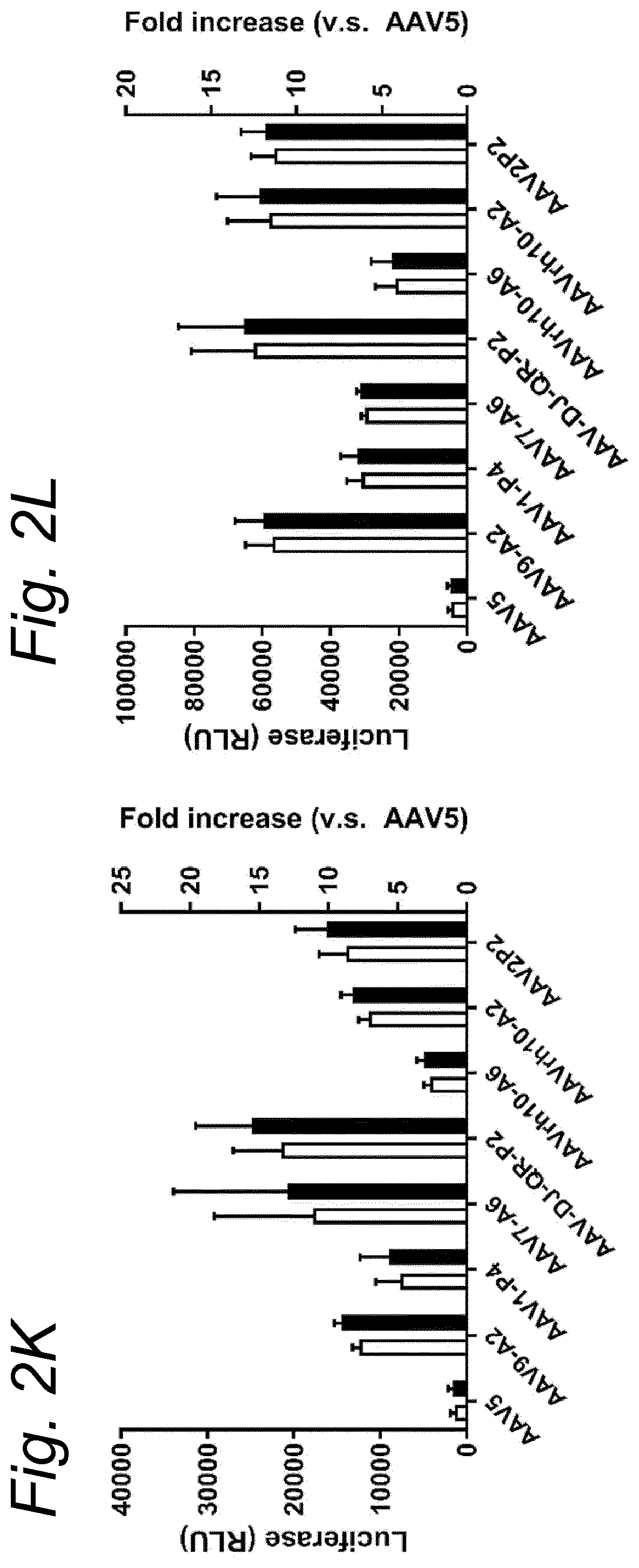 Patent US12480138 Figure 9 – Modified rAAV capsid protein for gene therapy