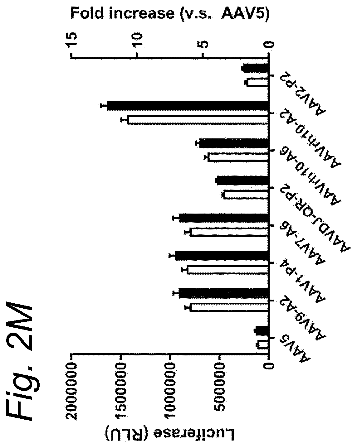 Patent US12480138 Figure 10 – Modified rAAV capsid protein for gene therapy