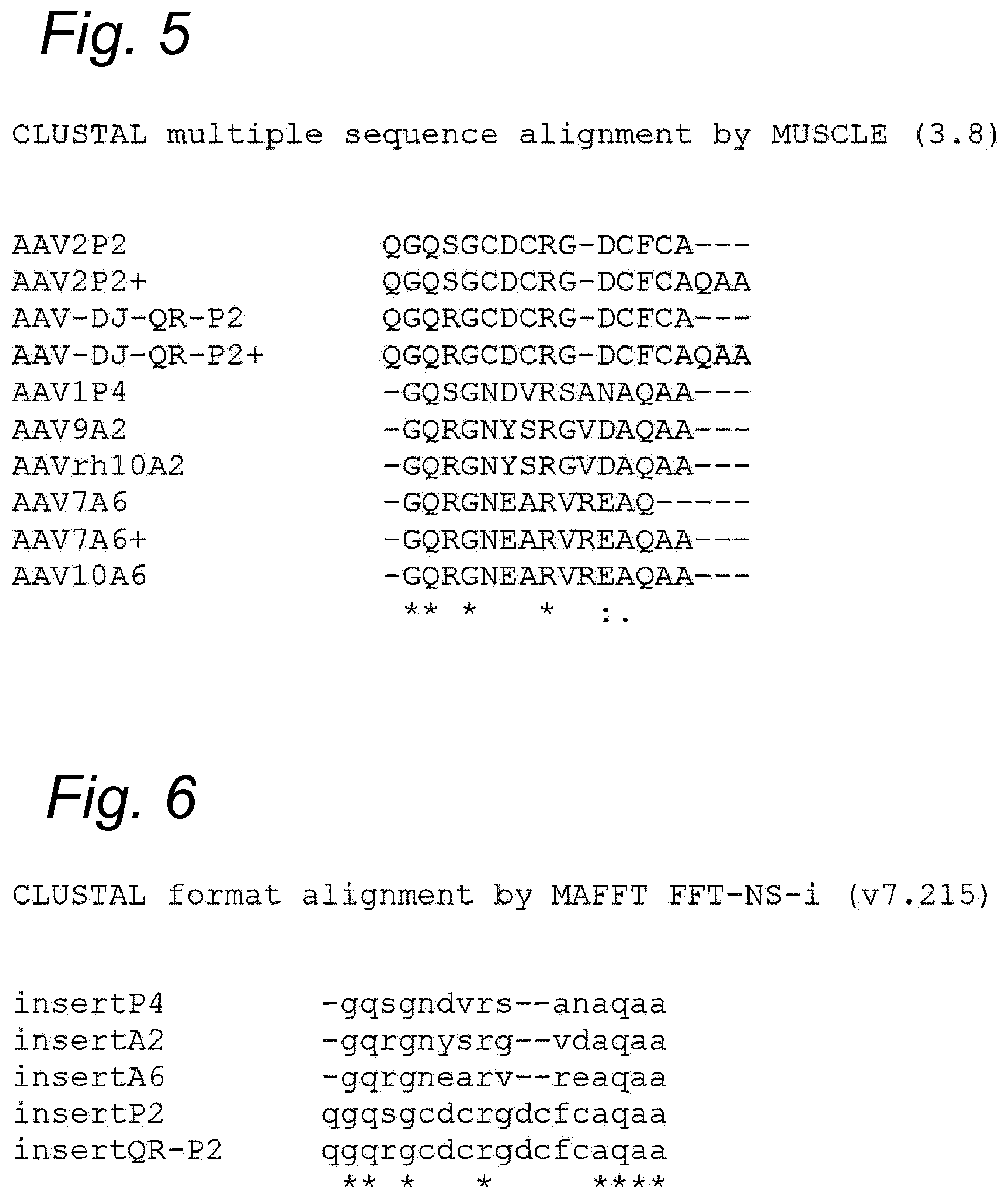 Patent US12480138 Figure 13 – Modified rAAV capsid protein for gene therapy