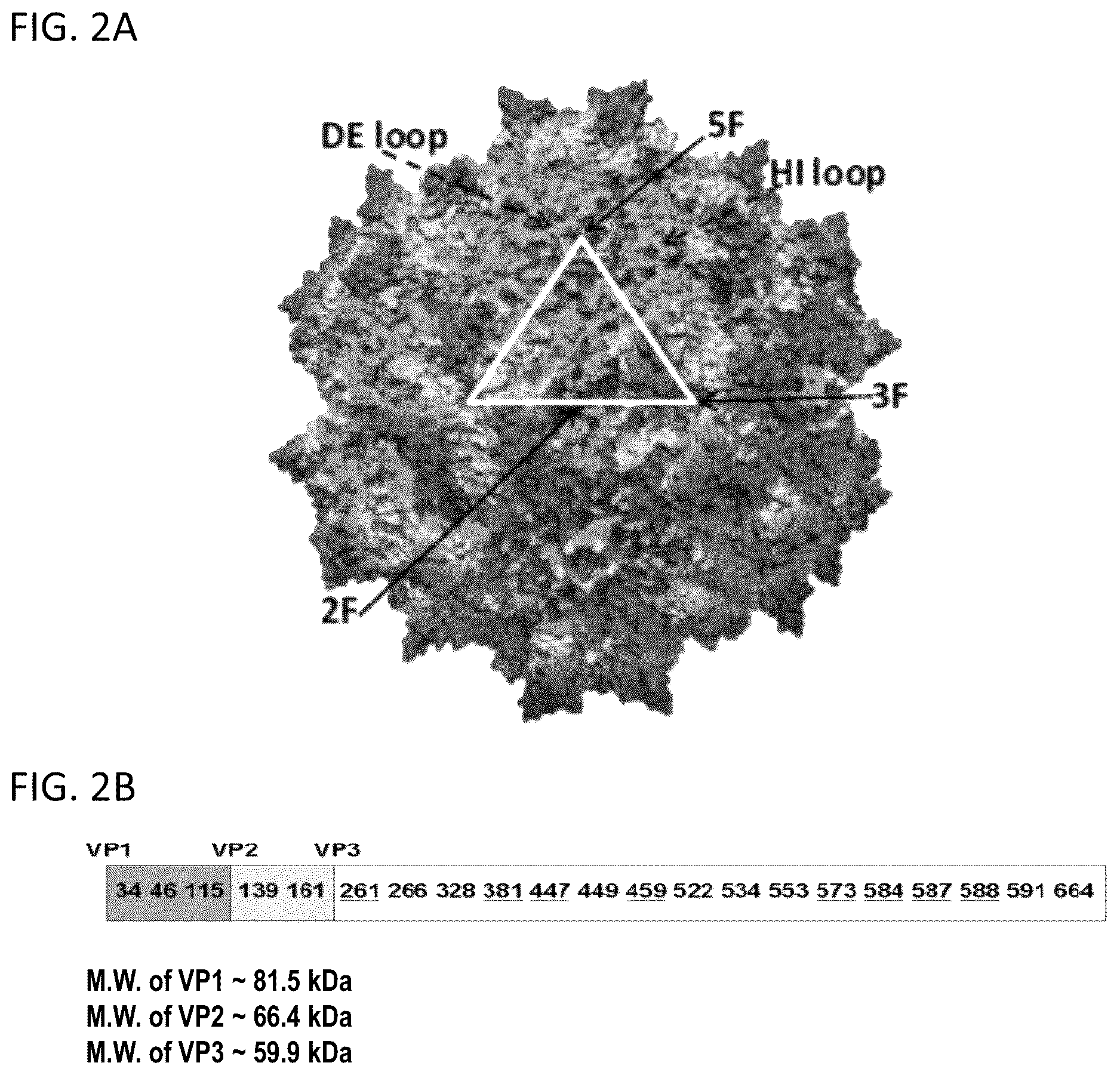 Patent US12480139 Figure 2 – Methods for analysis of viral capsid protein composition