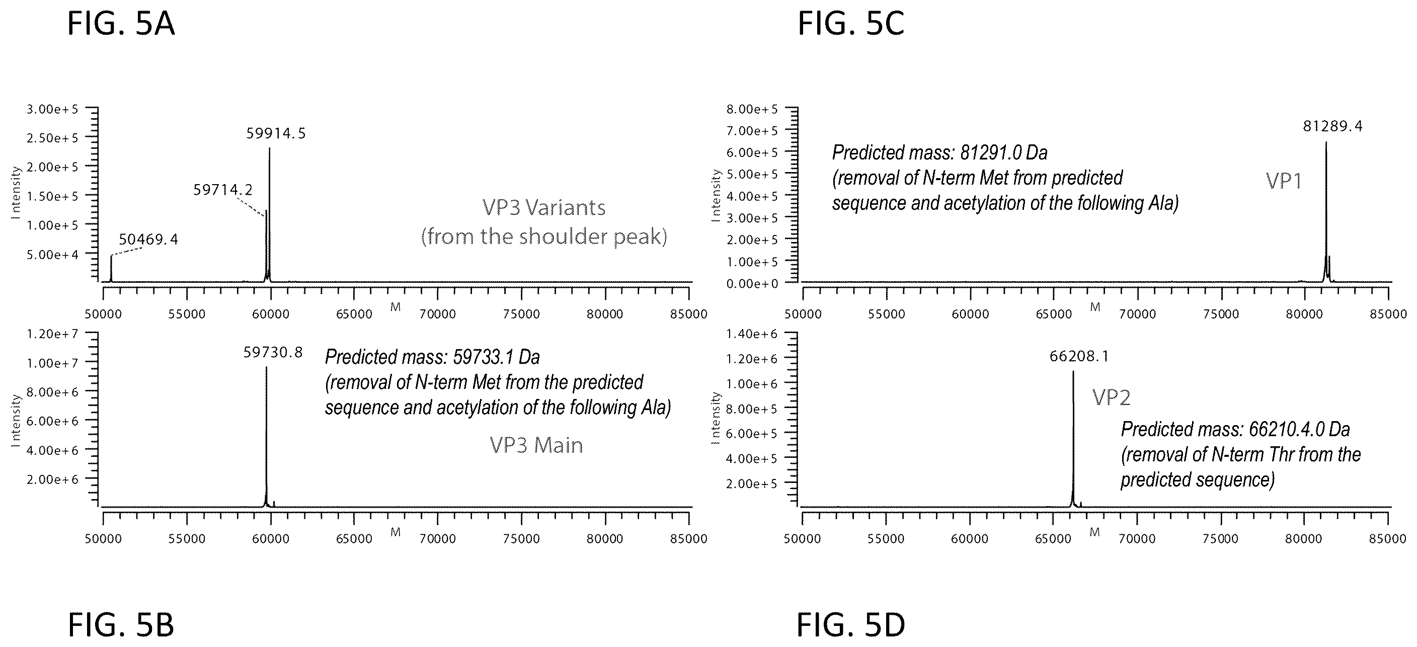 Patent US12480139 Figure 6 – Methods for analysis of viral capsid protein composition