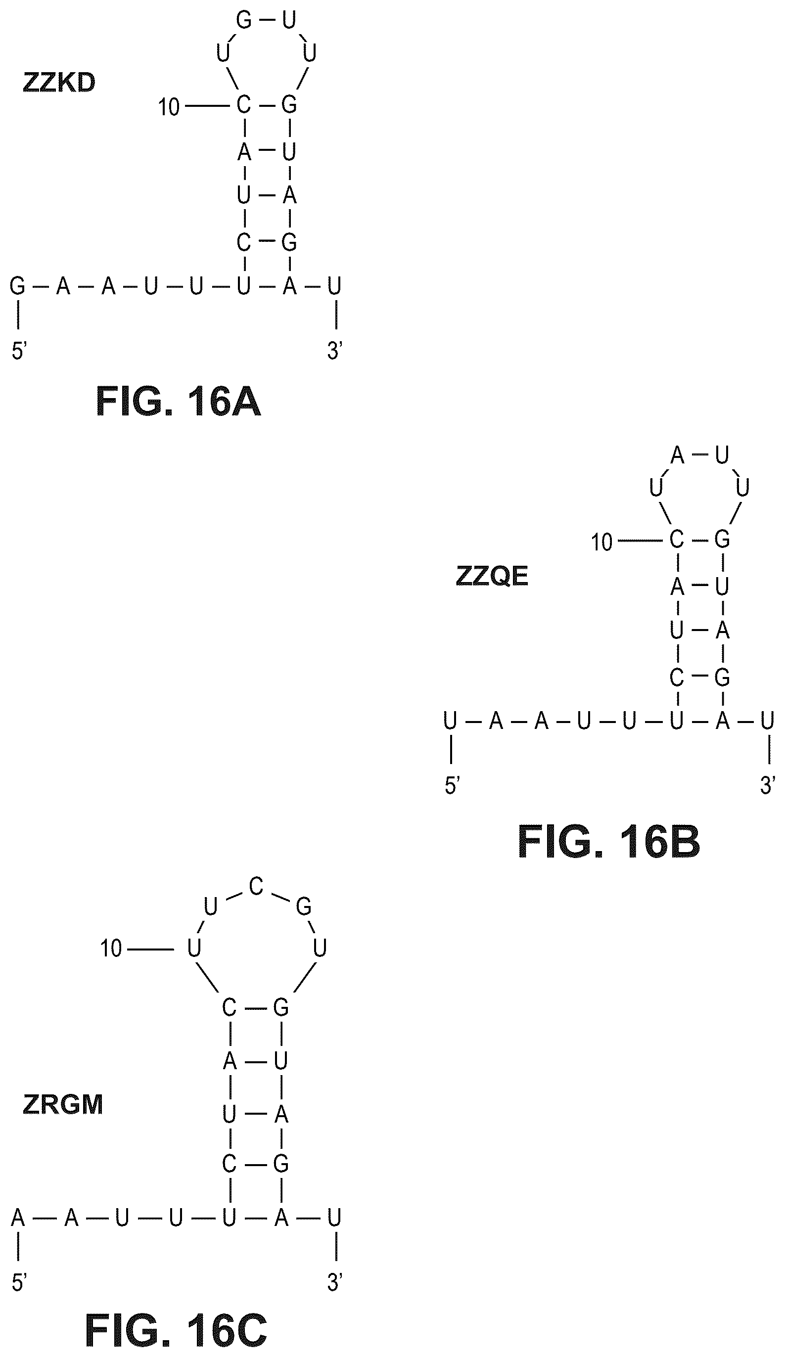Patent US12480141 Figure 16 – Type V Cas proteins and applications thereof