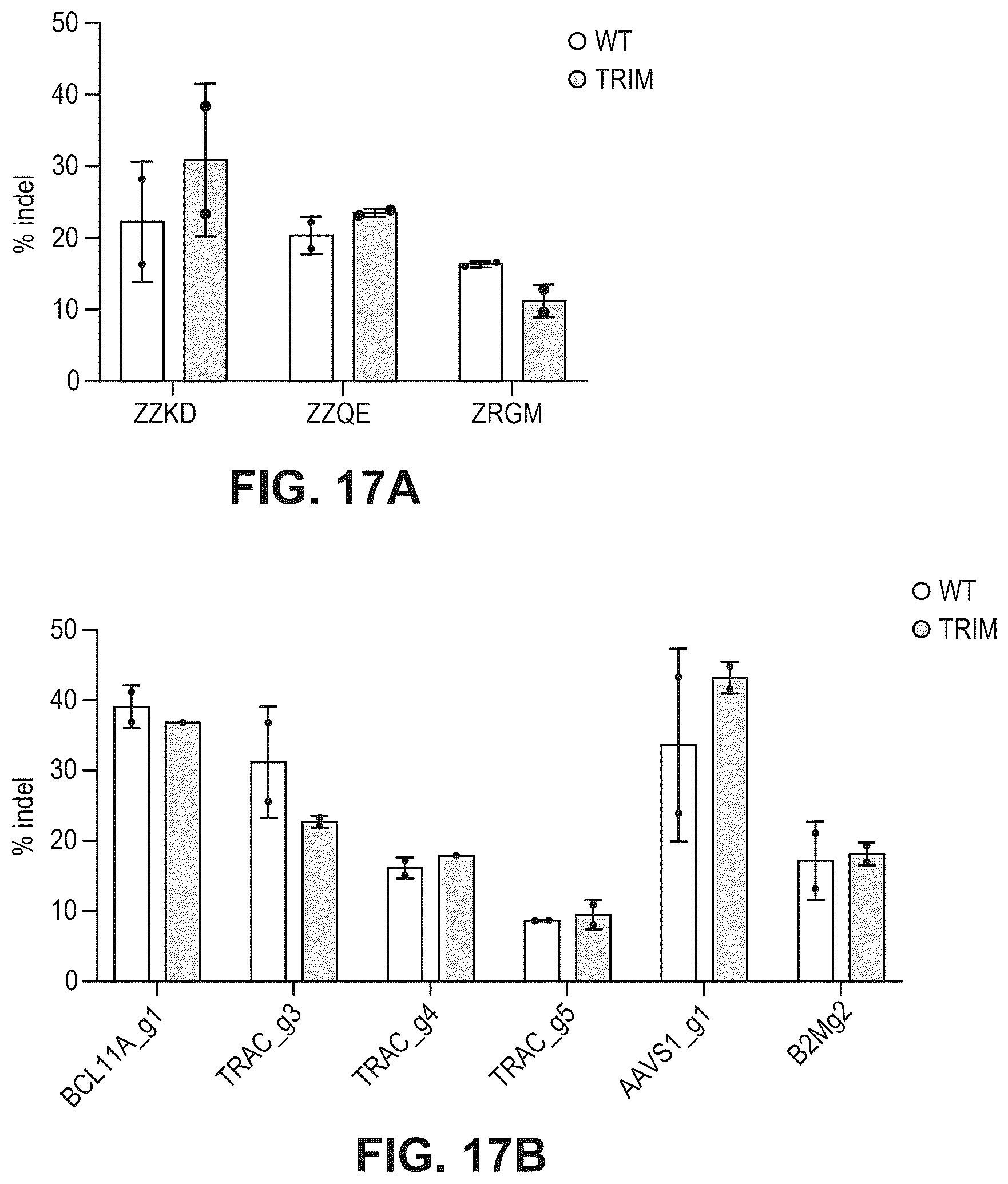 Patent US12480141 Figure 17 – Type V Cas proteins and applications thereof