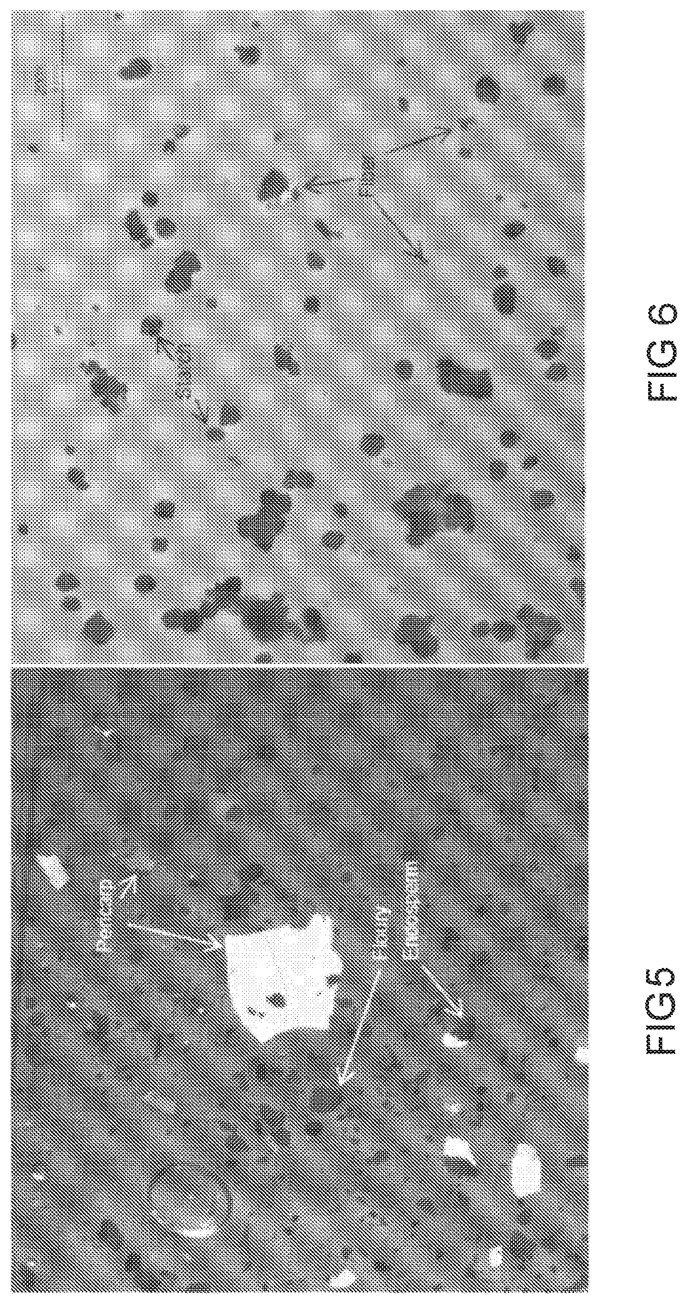 Patent US12480142 Figure 4 – Processes for separating whole stillage