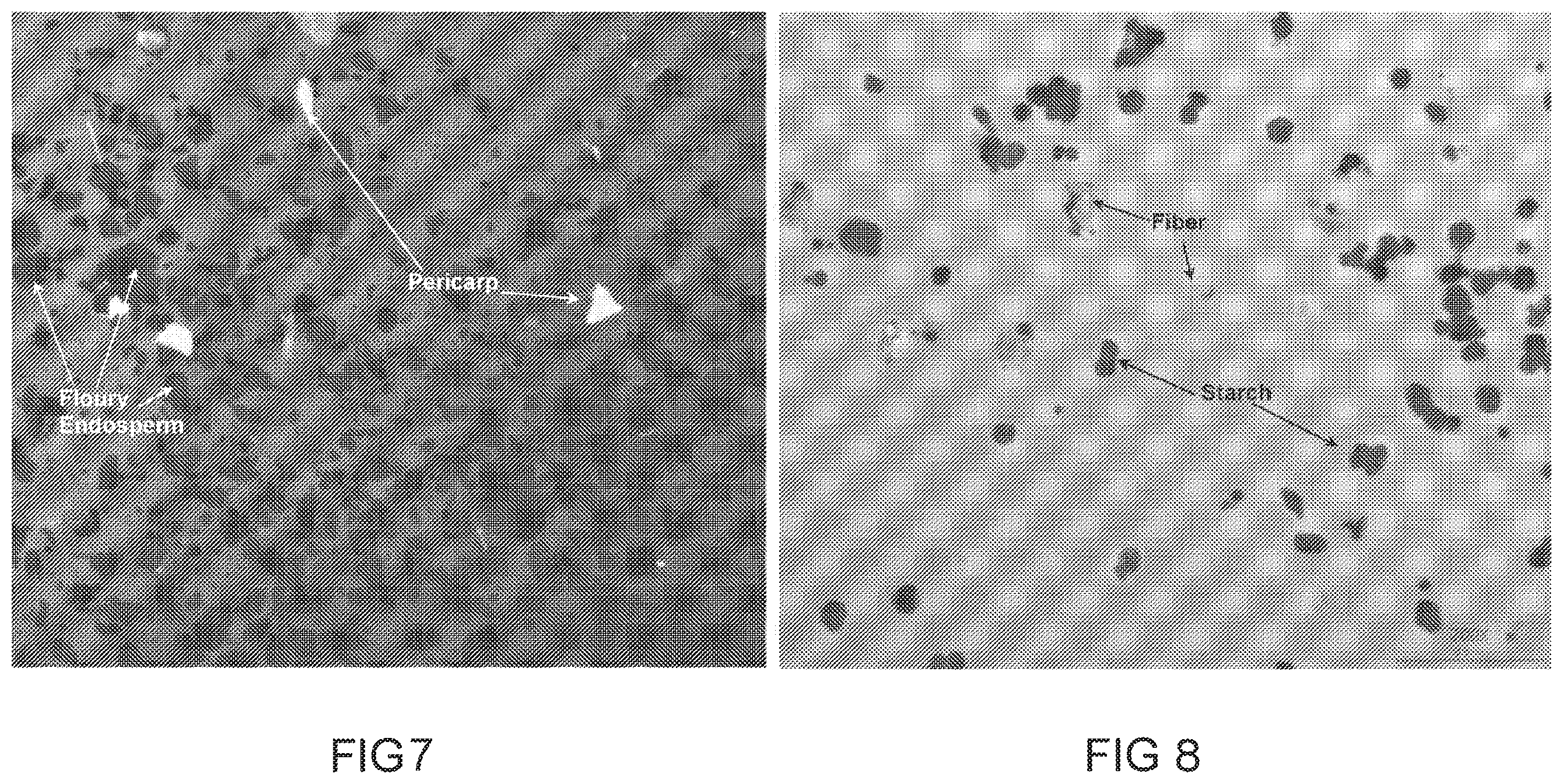 Patent US12480142 Figure 5 – Processes for separating whole stillage