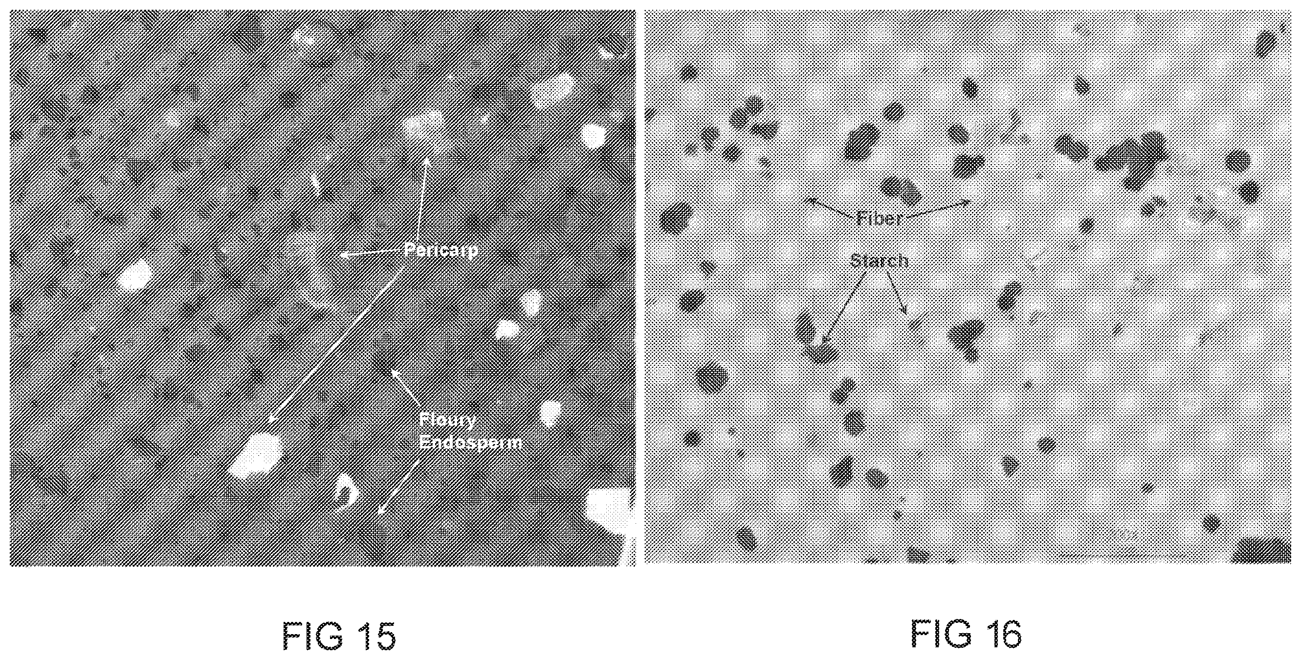 Patent US12480142 Figure 9 – Processes for separating whole stillage