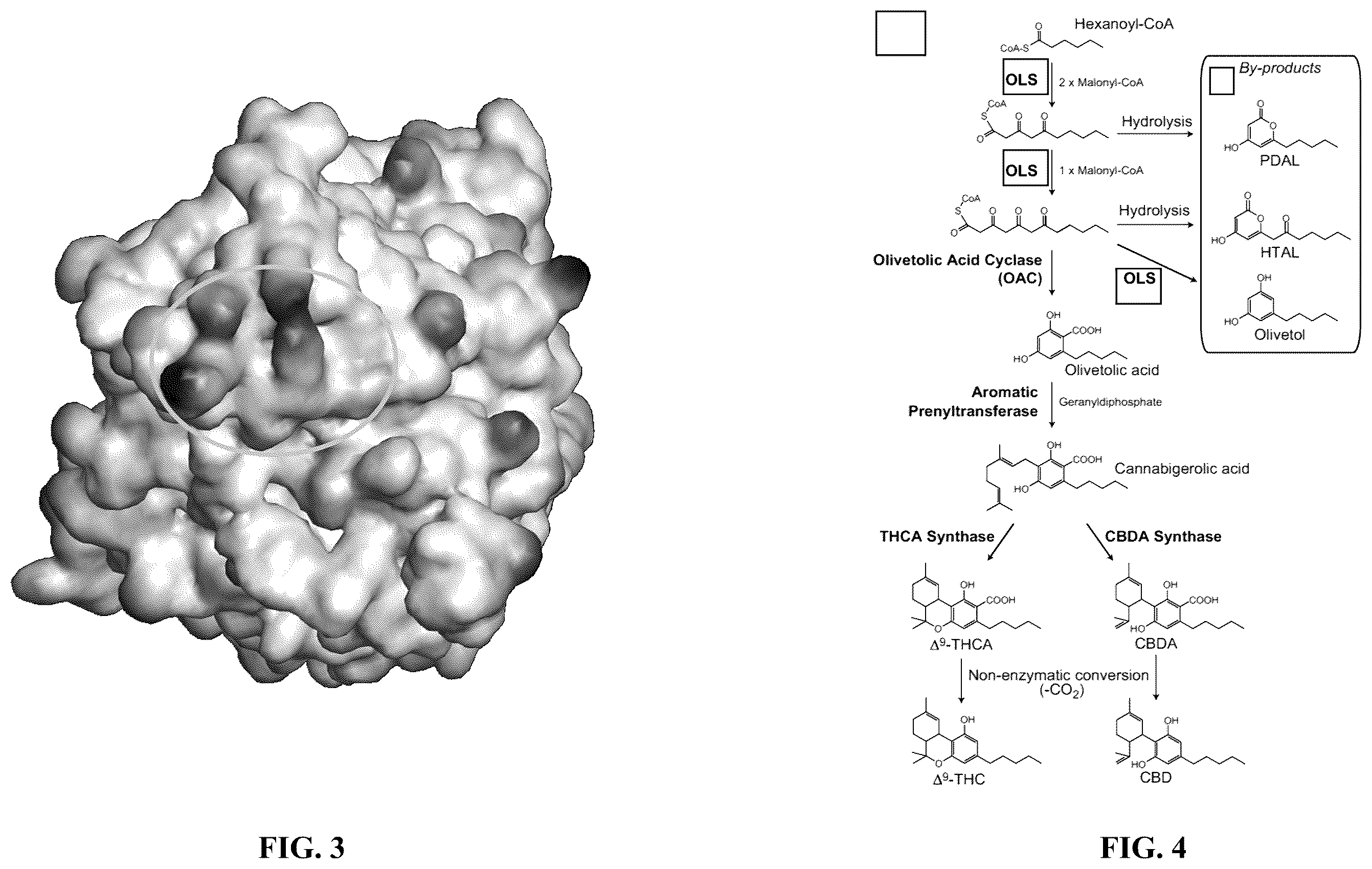 Patent US12480144 Figure 2 – Cannabinoid synthase variants and methods for their use