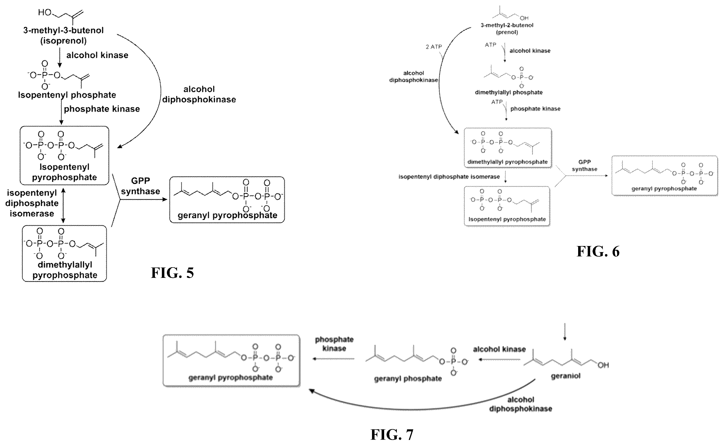 Patent US12480144 Figure 3 – Cannabinoid synthase variants and methods for their use