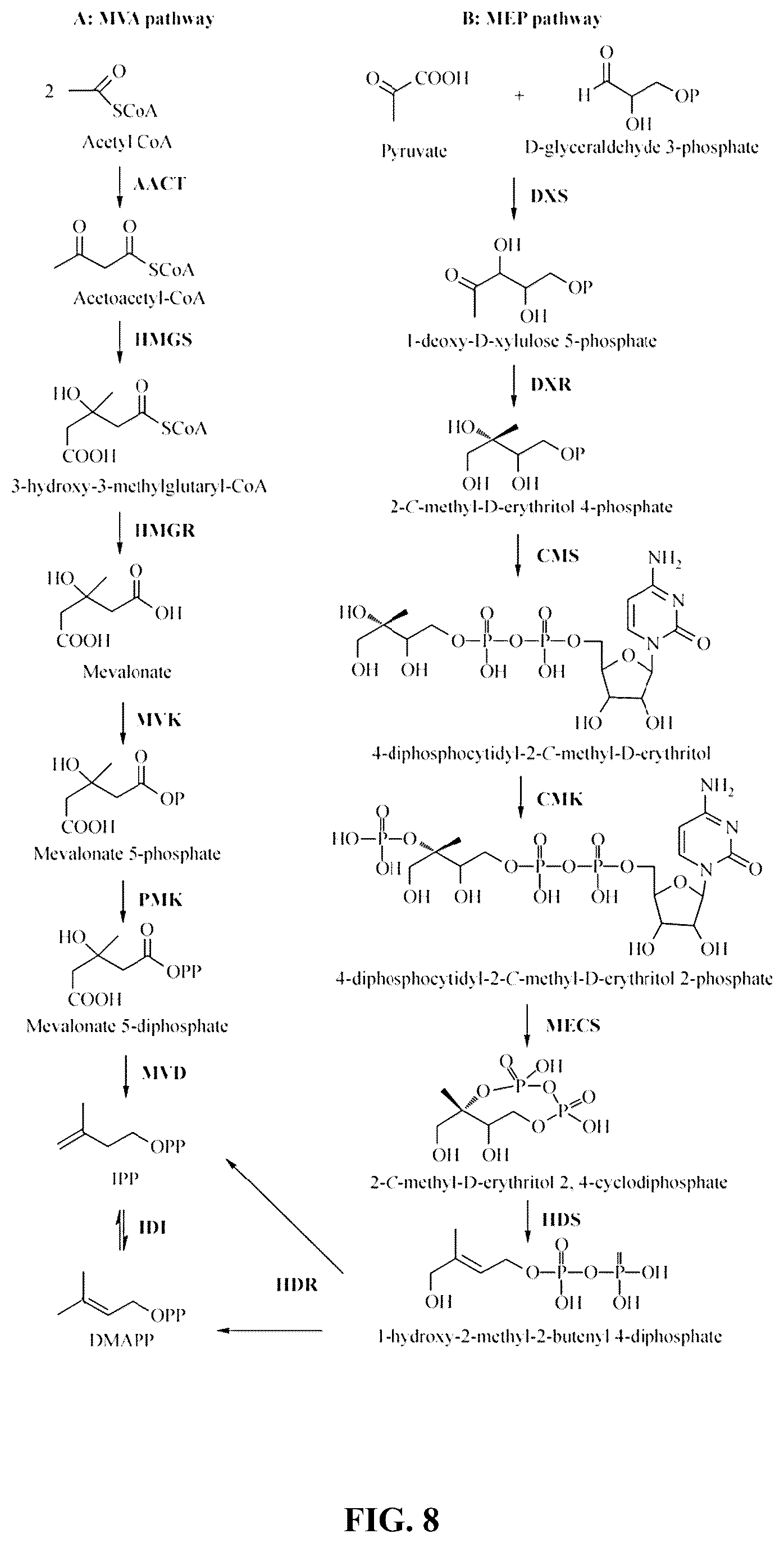Patent US12480144 Figure 4 – Cannabinoid synthase variants and methods for their use