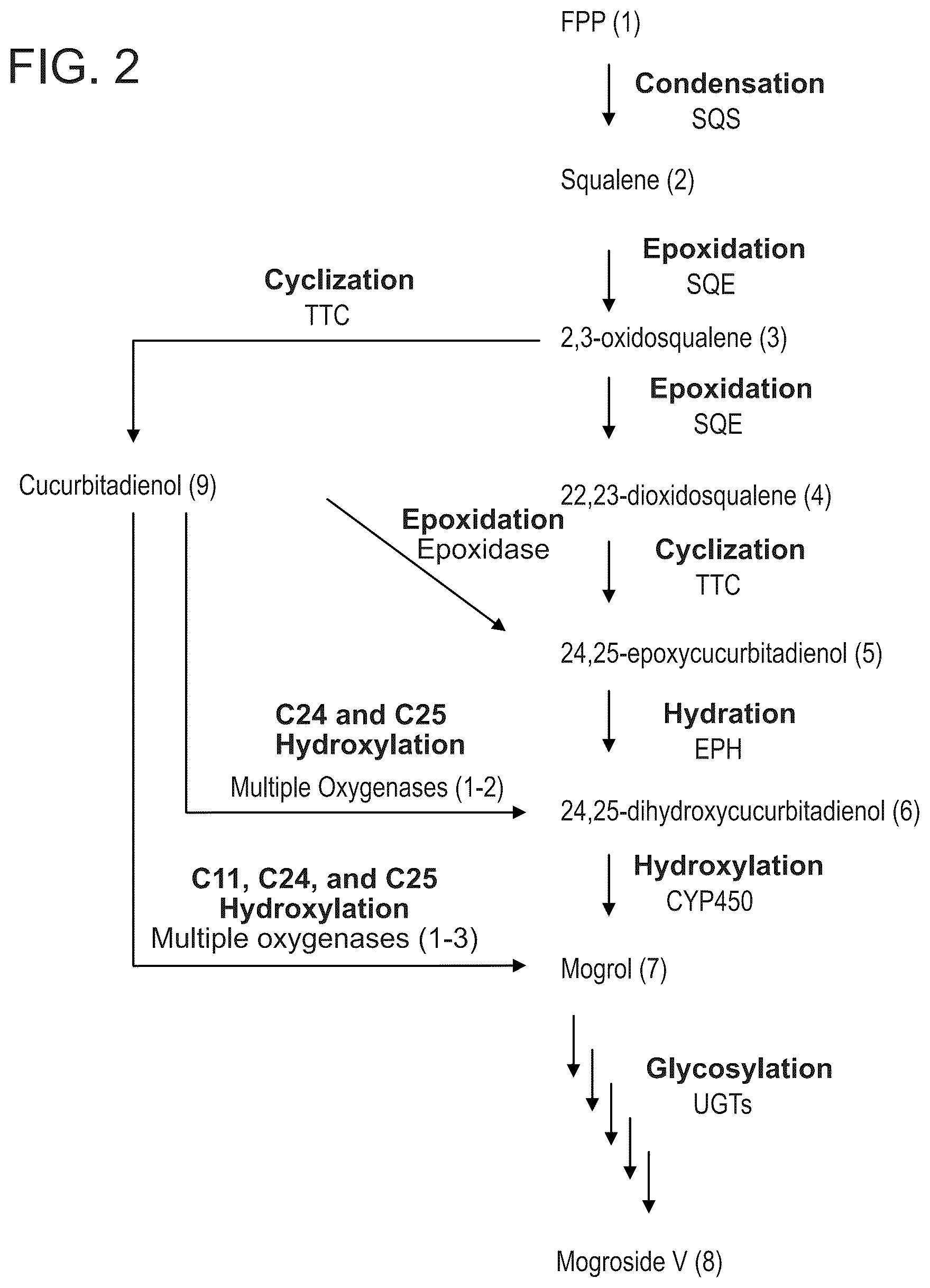 Patent US12480146 Figure 2 – Microbial production of mogrol and mogrosides