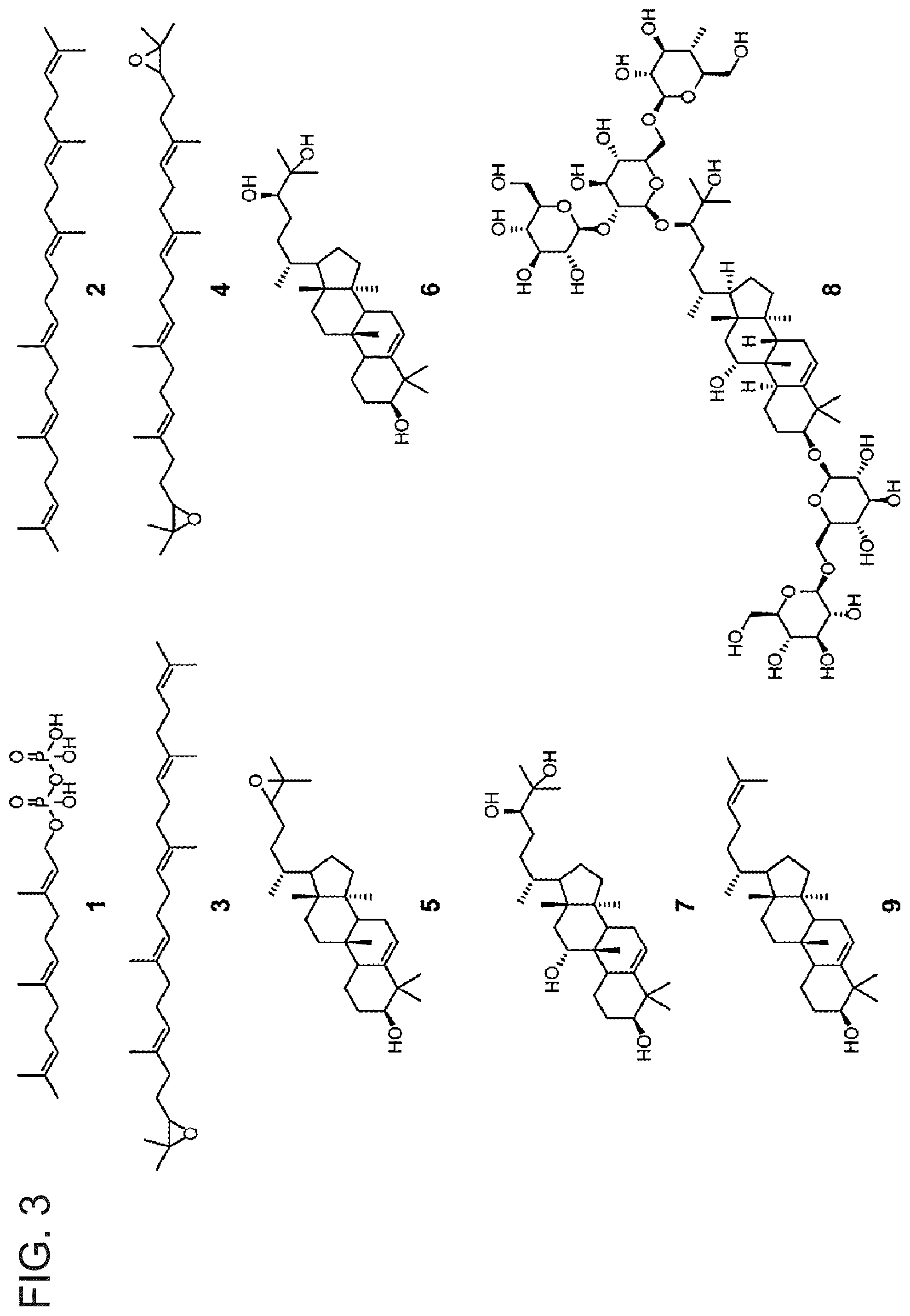 Patent US12480146 Figure 3 – Microbial production of mogrol and mogrosides