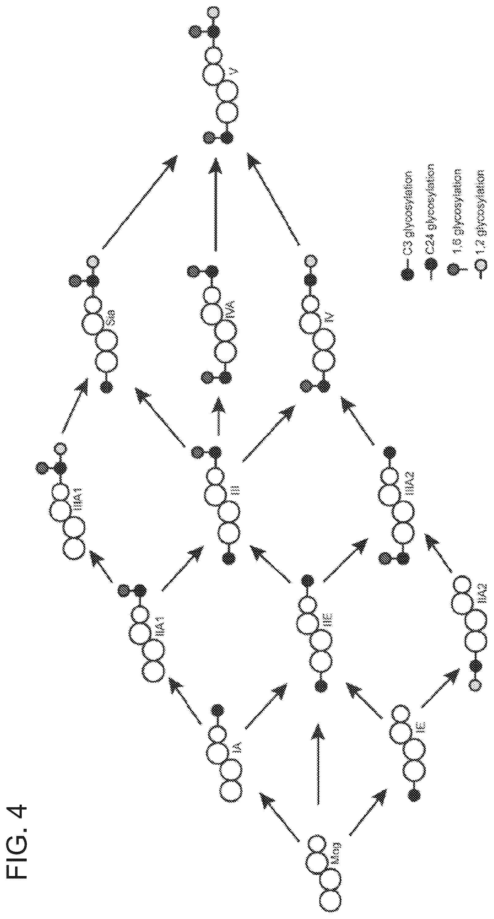 Patent US12480146 Figure 4 – Microbial production of mogrol and mogrosides