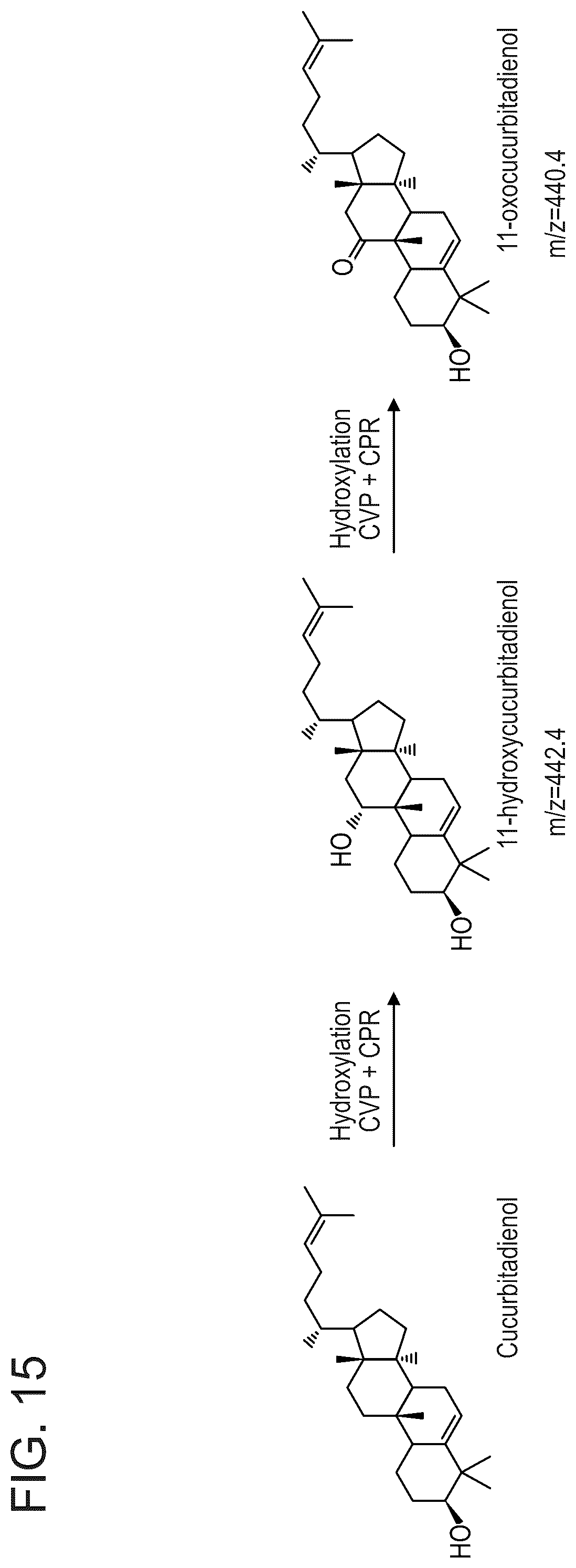 Patent US12480146 Figure 16 – Microbial production of mogrol and mogrosides