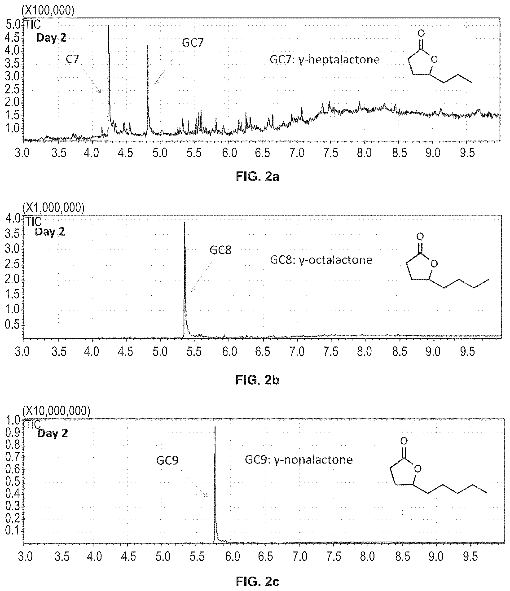 Patent US12480147 Figure 2 – Biosynthetic production of gamma-lactones