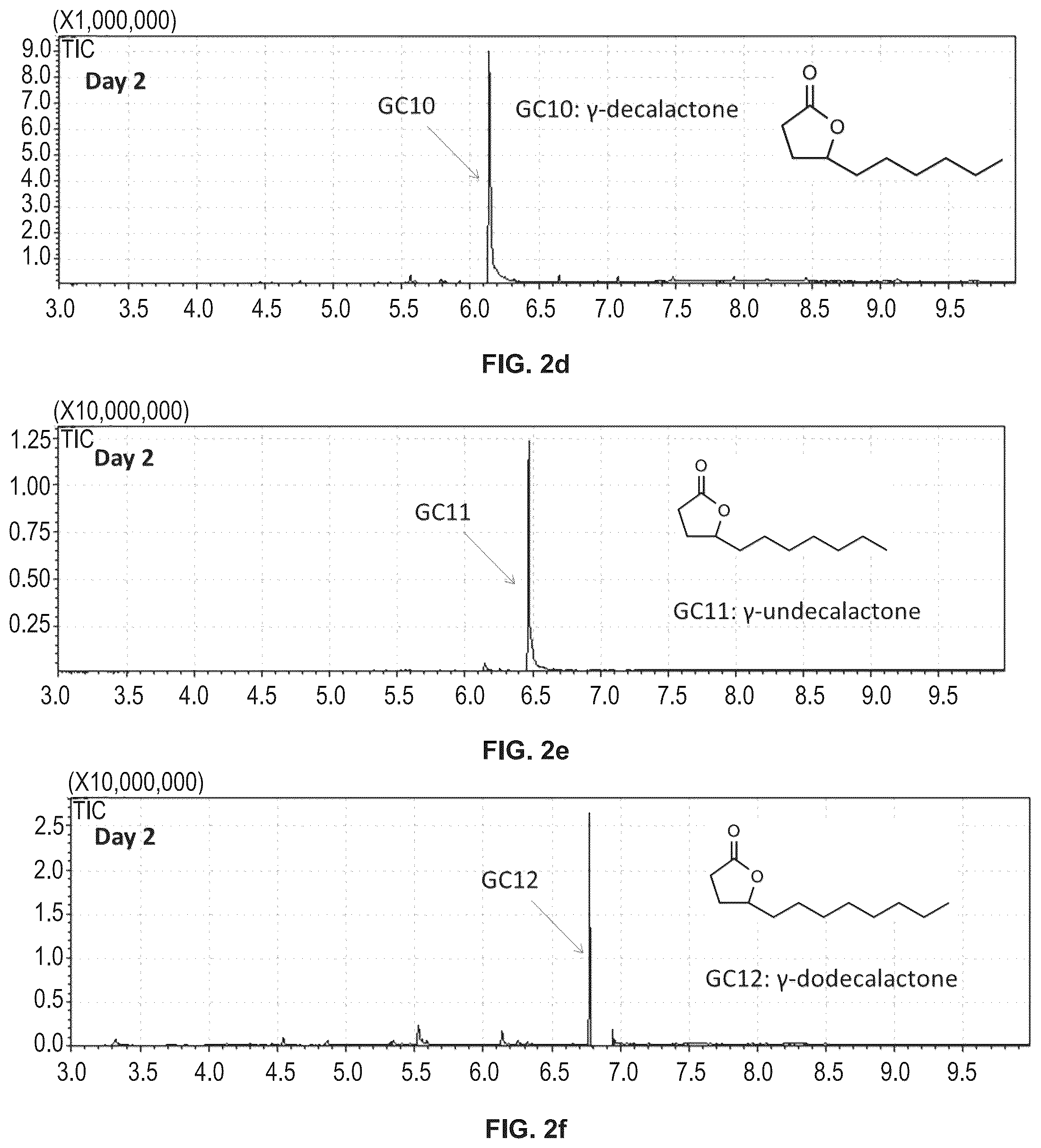 Patent US12480147 Figure 3 – Biosynthetic production of gamma-lactones