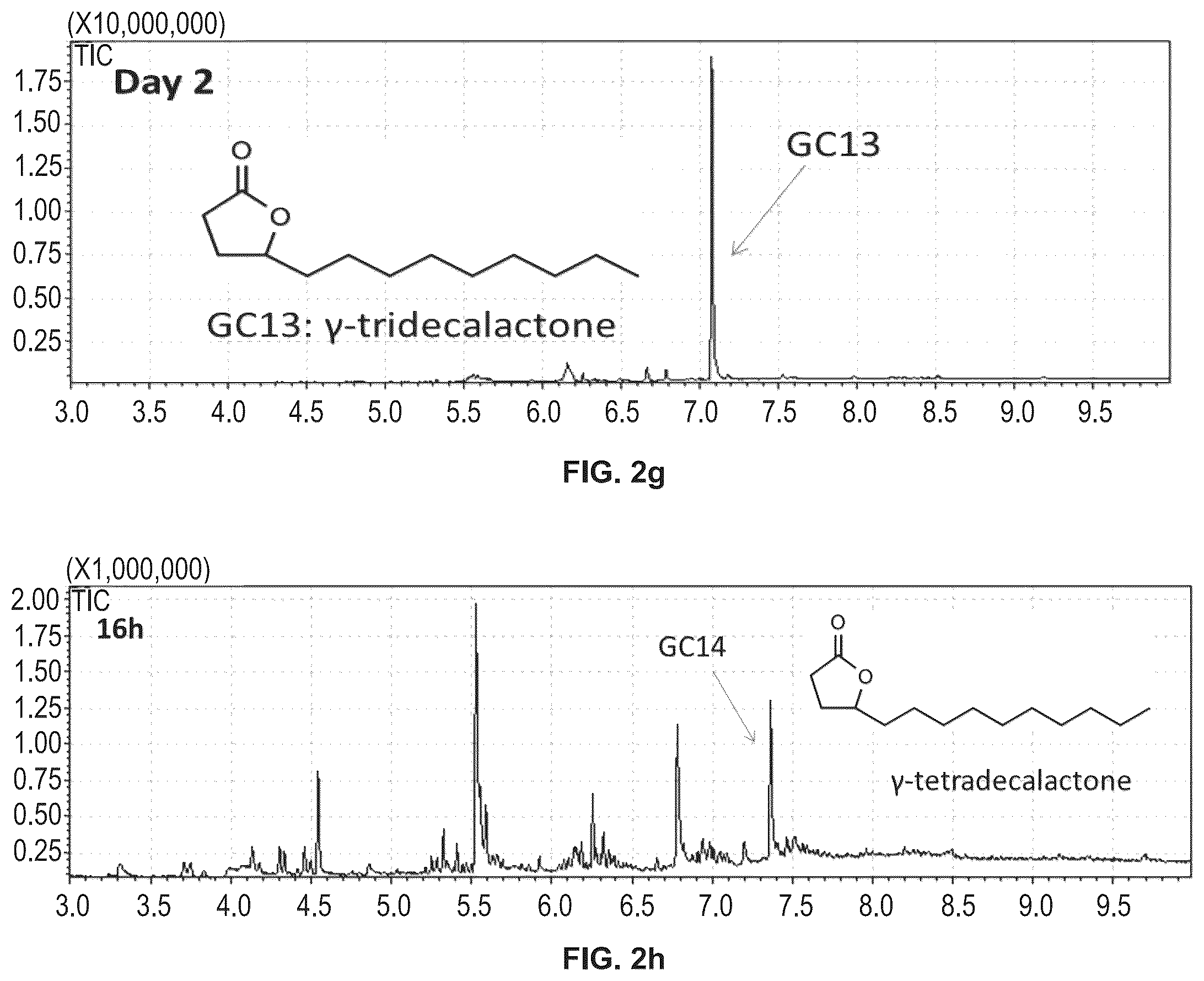 Patent US12480147 Figure 4 – Biosynthetic production of gamma-lactones