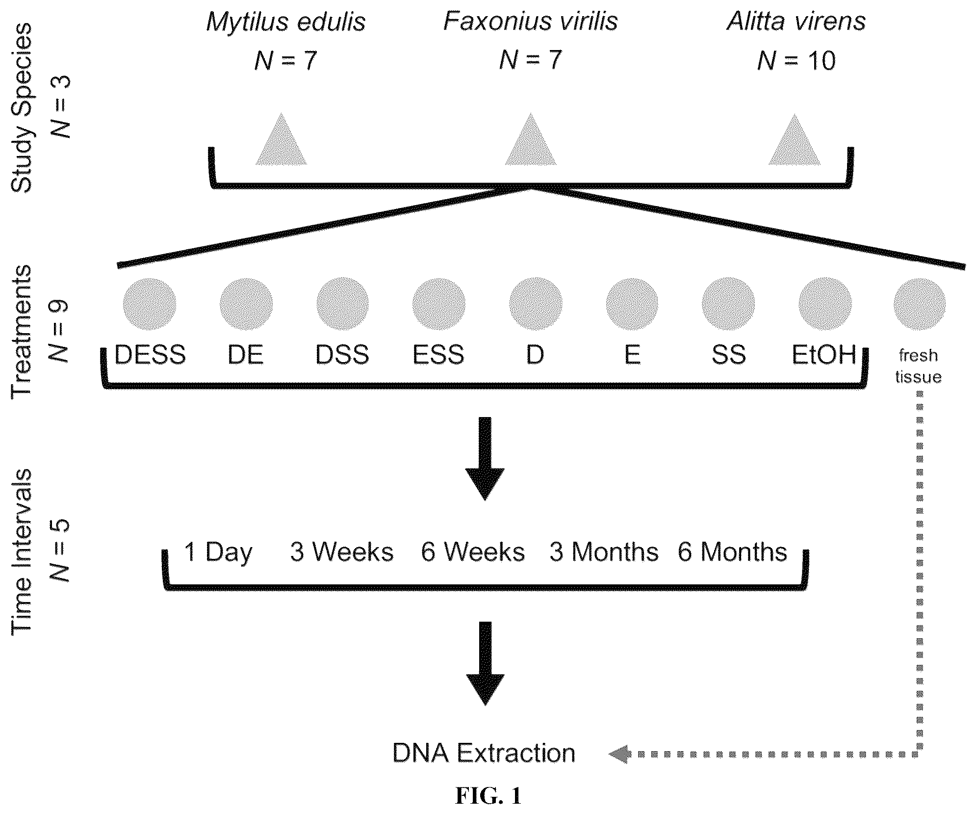 Patent US12480151 Figure 1 – DNA preservation in biological specimens using metal chelators