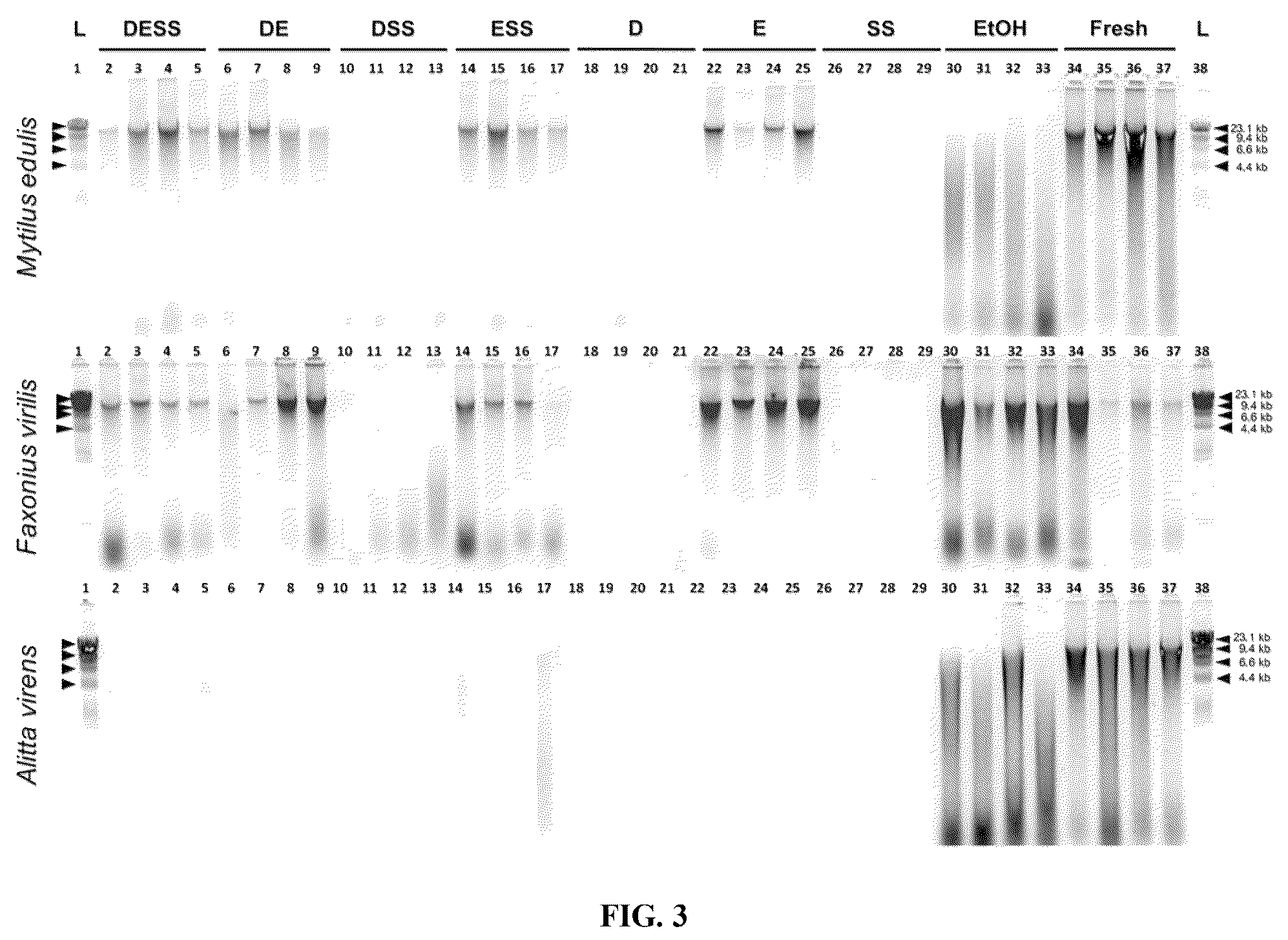 Patent US12480151 Figure 4 – DNA preservation in biological specimens using metal chelators