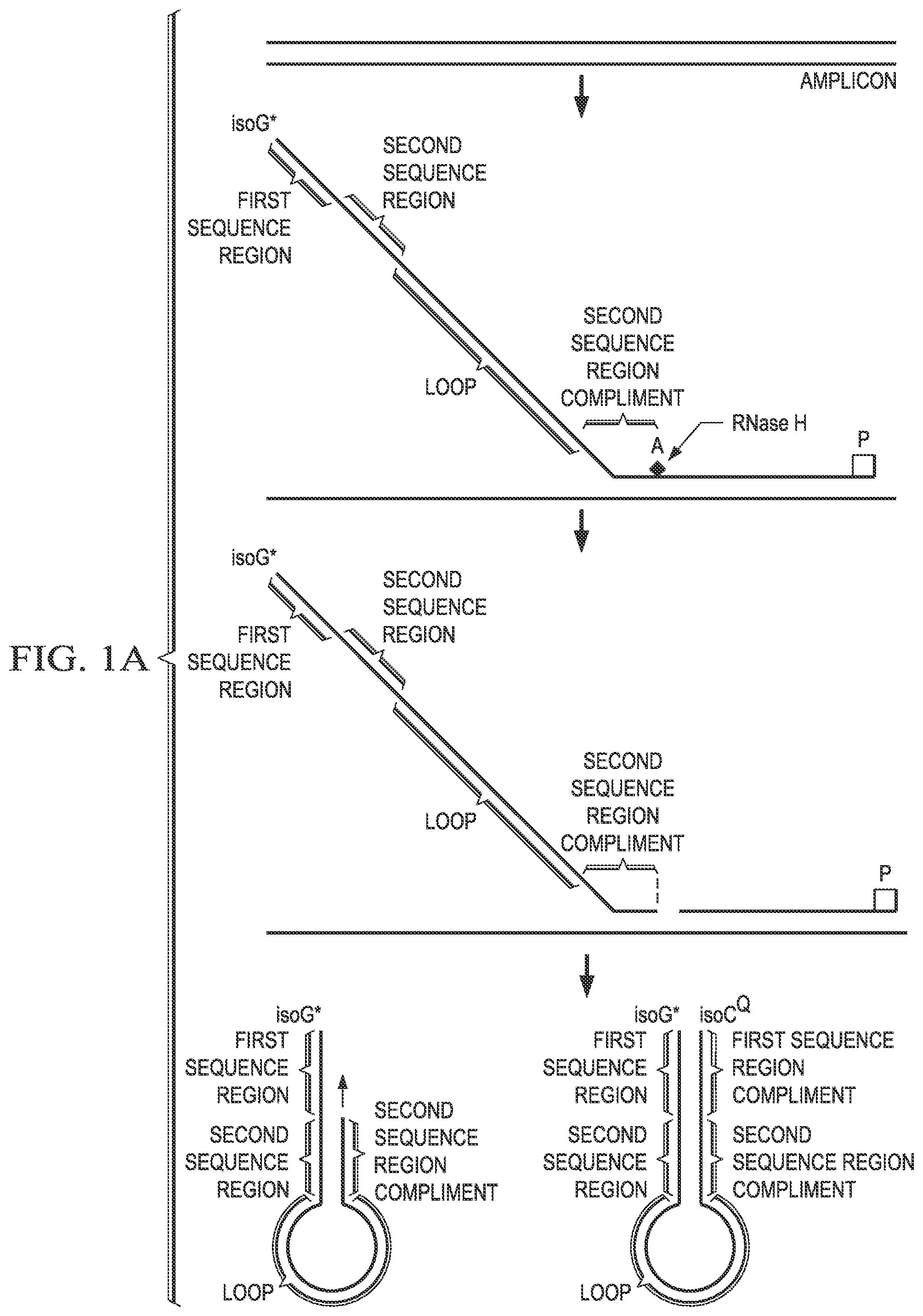 Patent US12480152 Figure 1 – Probes for improved melt discrimination and multiplexing in nucleic acid assays