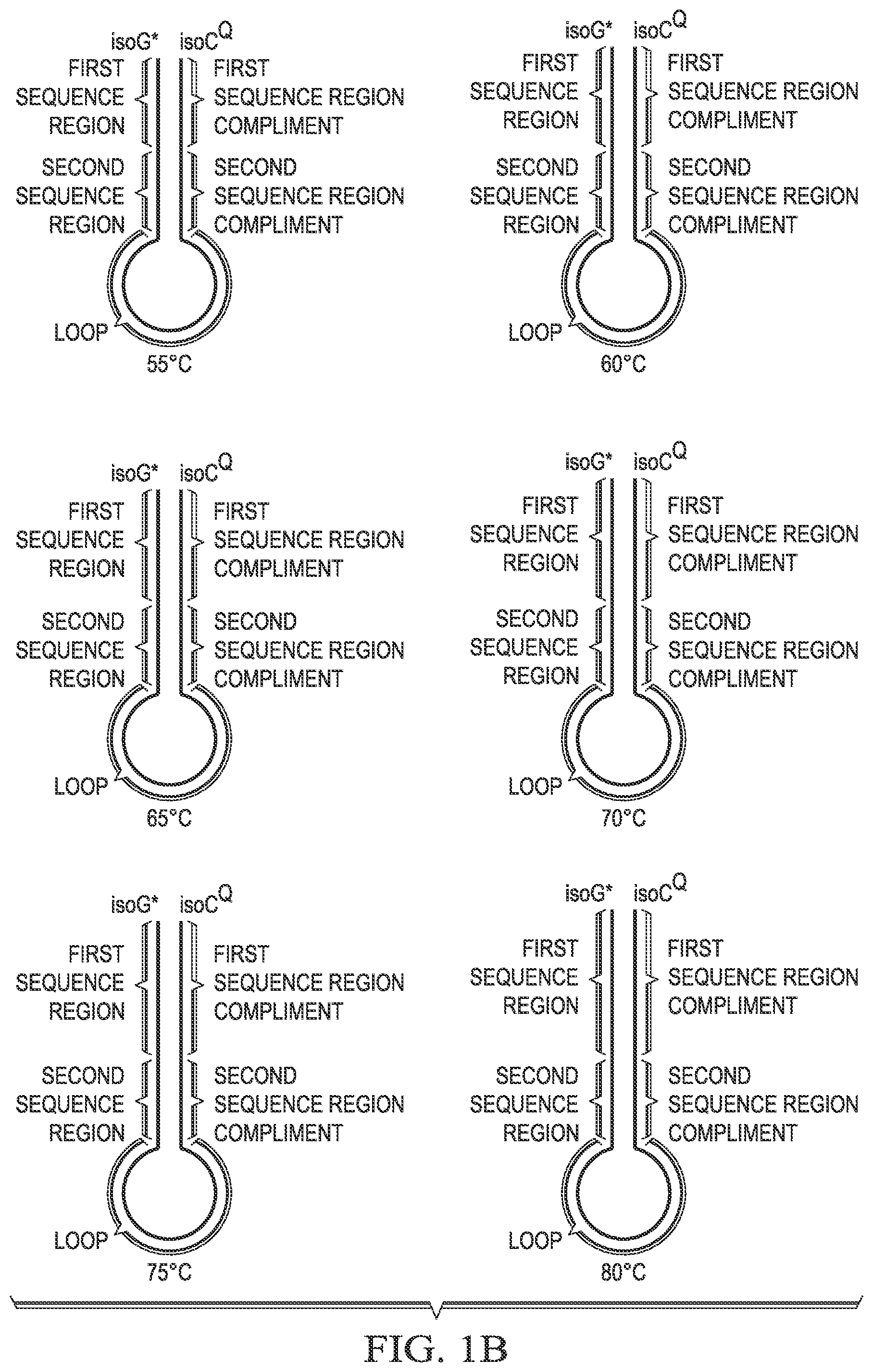 Patent US12480152 Figure 2 – Probes for improved melt discrimination and multiplexing in nucleic acid assays