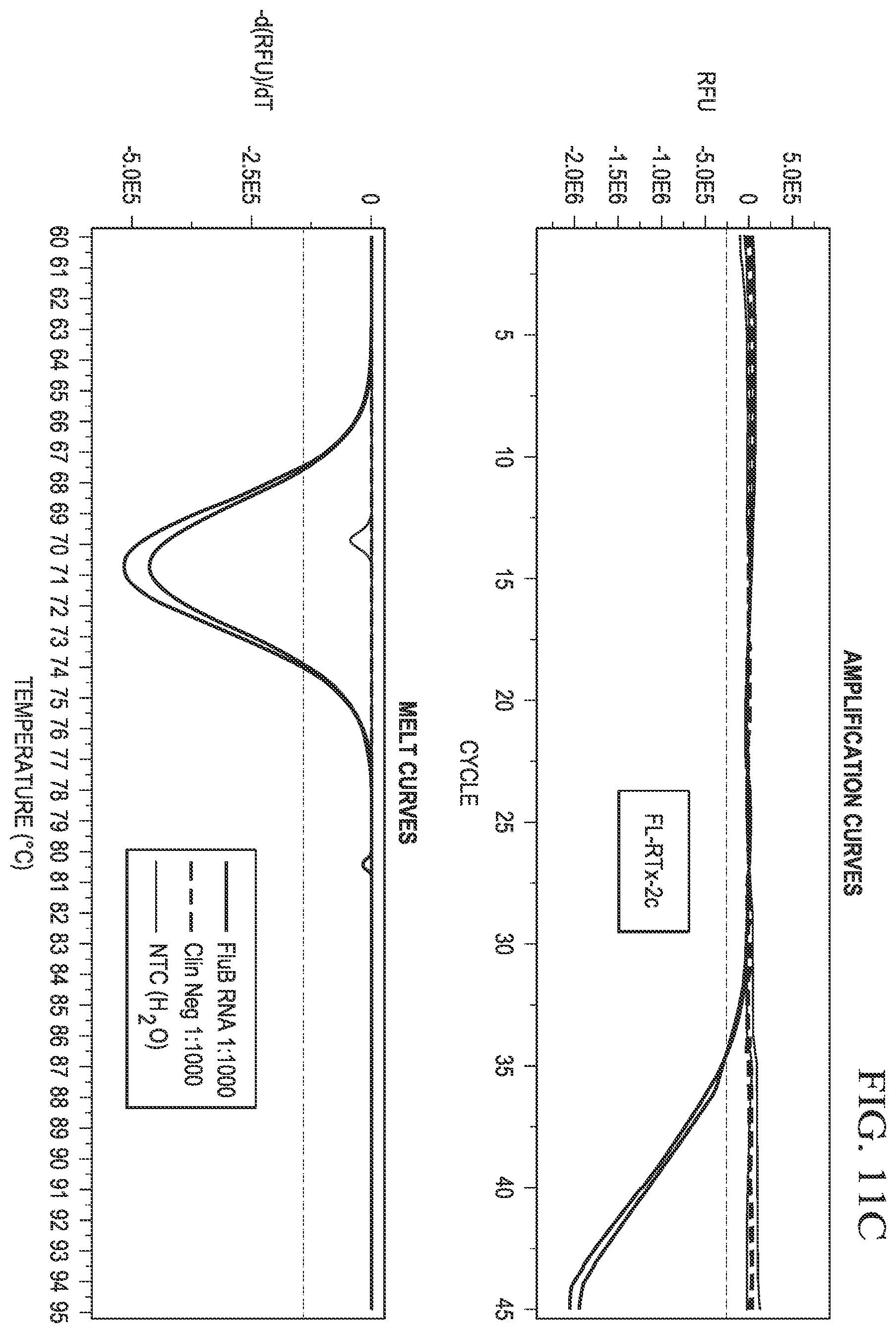 Patent US12480152 Figure 19 – Probes for improved melt discrimination and multiplexing in nucleic acid assays