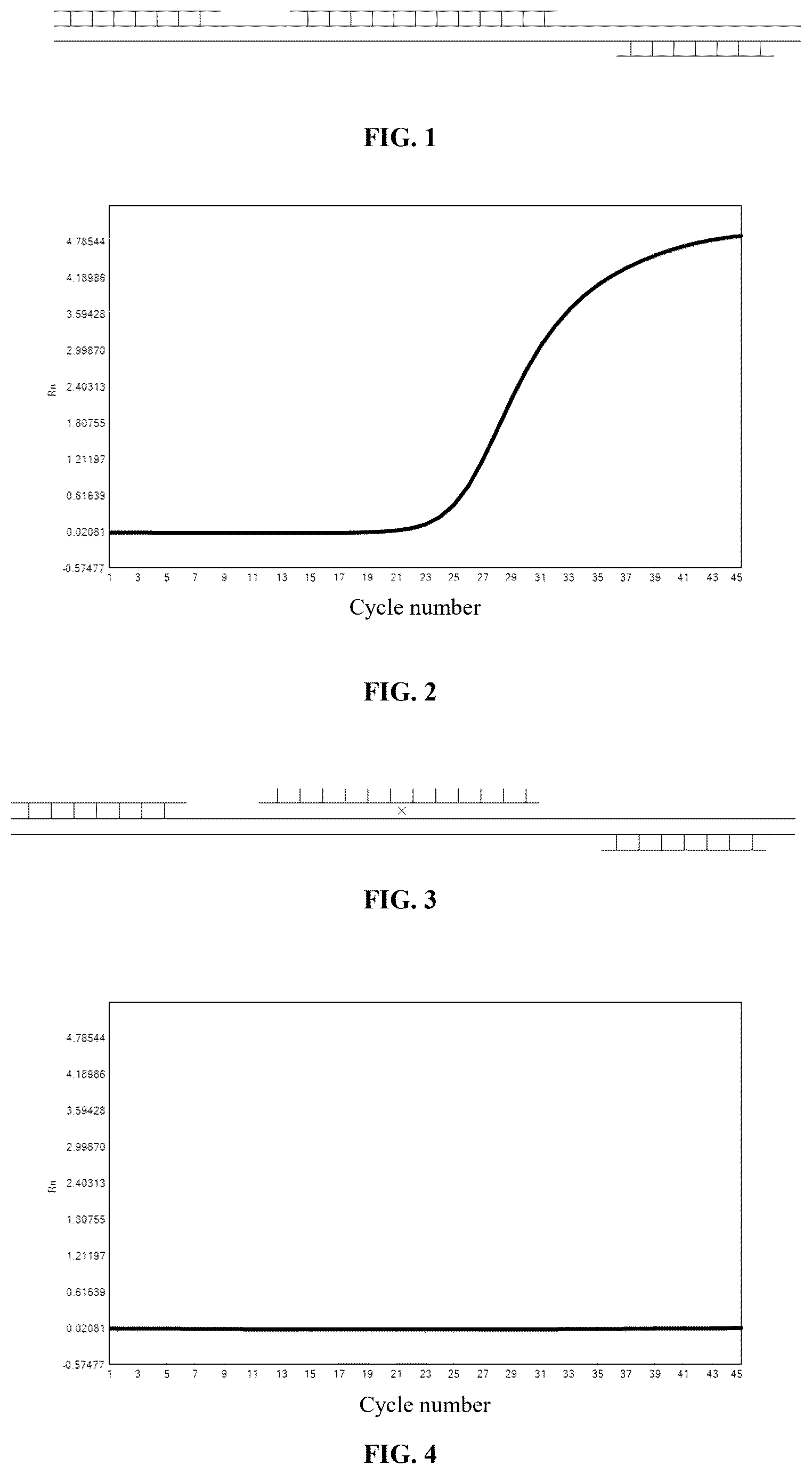 Patent US12480153 Figure 1 – Primer and probe composition for cat blood type detection, detection method, and use