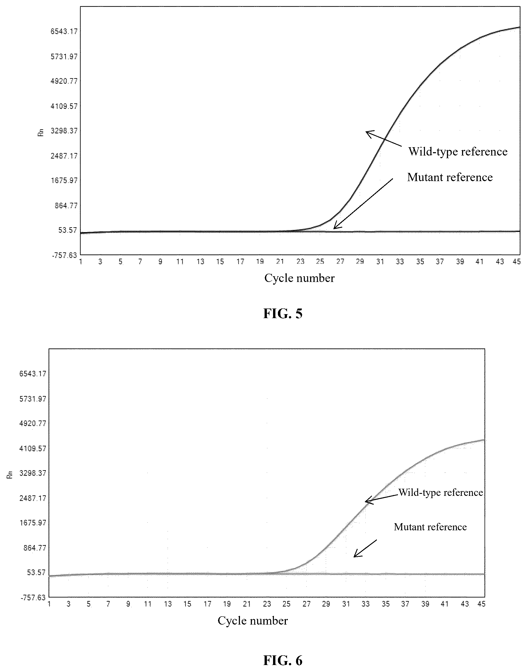Patent US12480153 Figure 2 – Primer and probe composition for cat blood type detection, detection method, and use