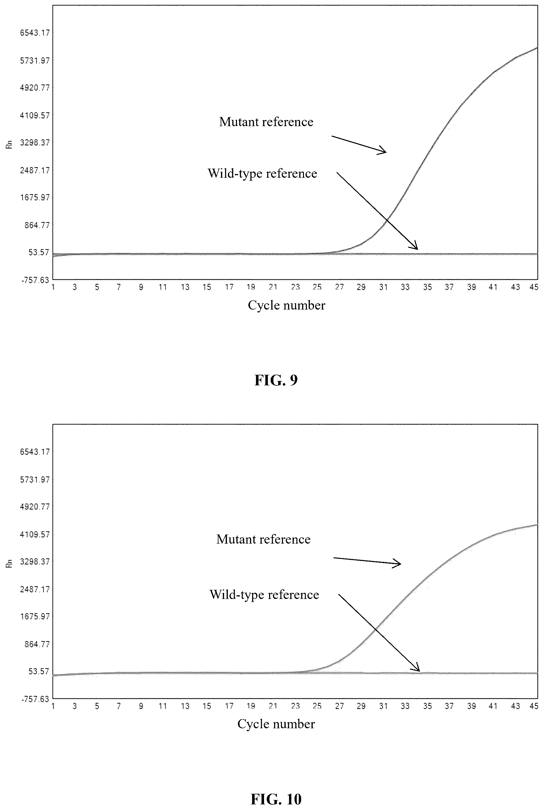 Patent US12480153 Figure 4 – Primer and probe composition for cat blood type detection, detection method, and use
