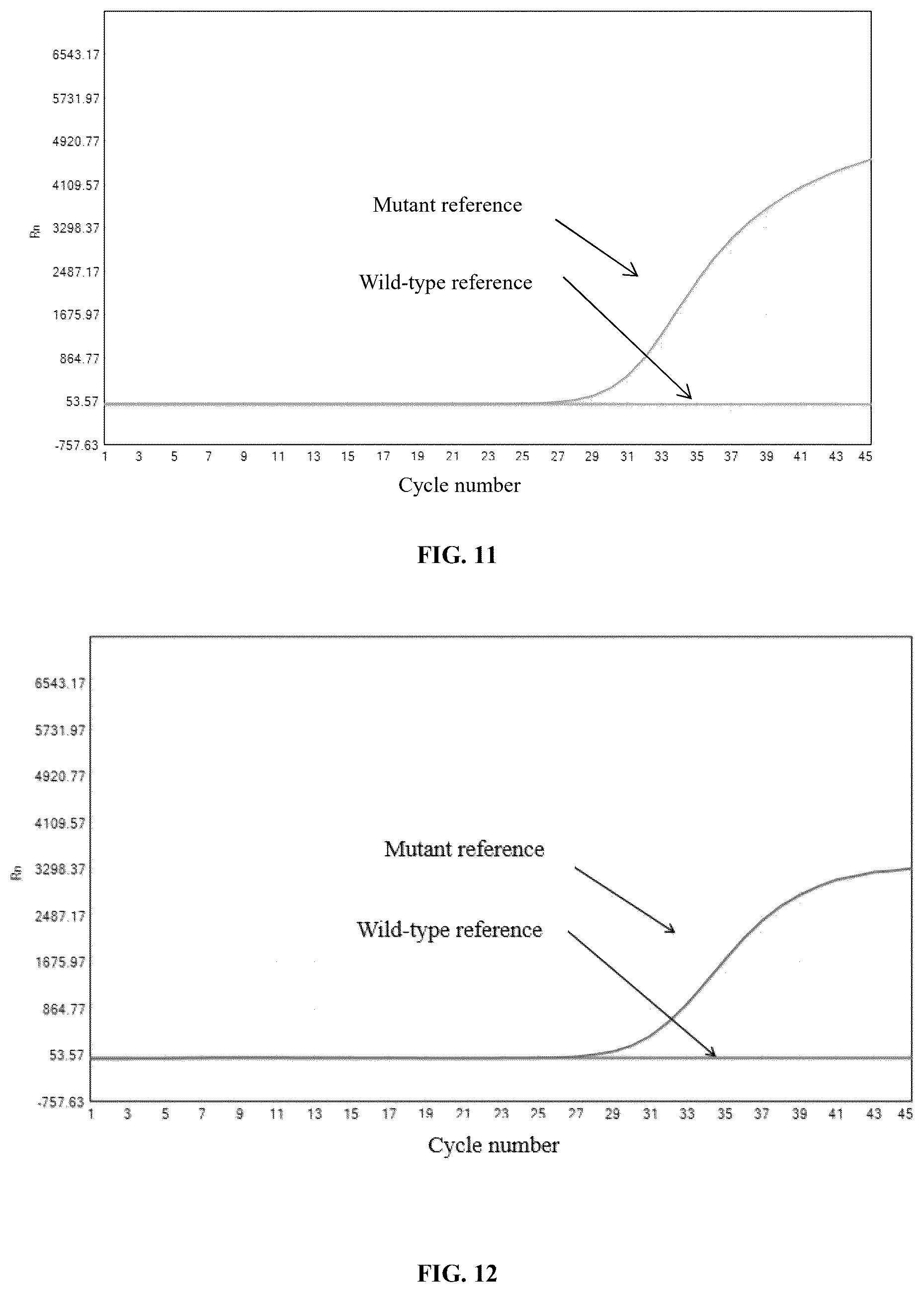 Patent US12480153 Figure 5 – Primer and probe composition for cat blood type detection, detection method, and use