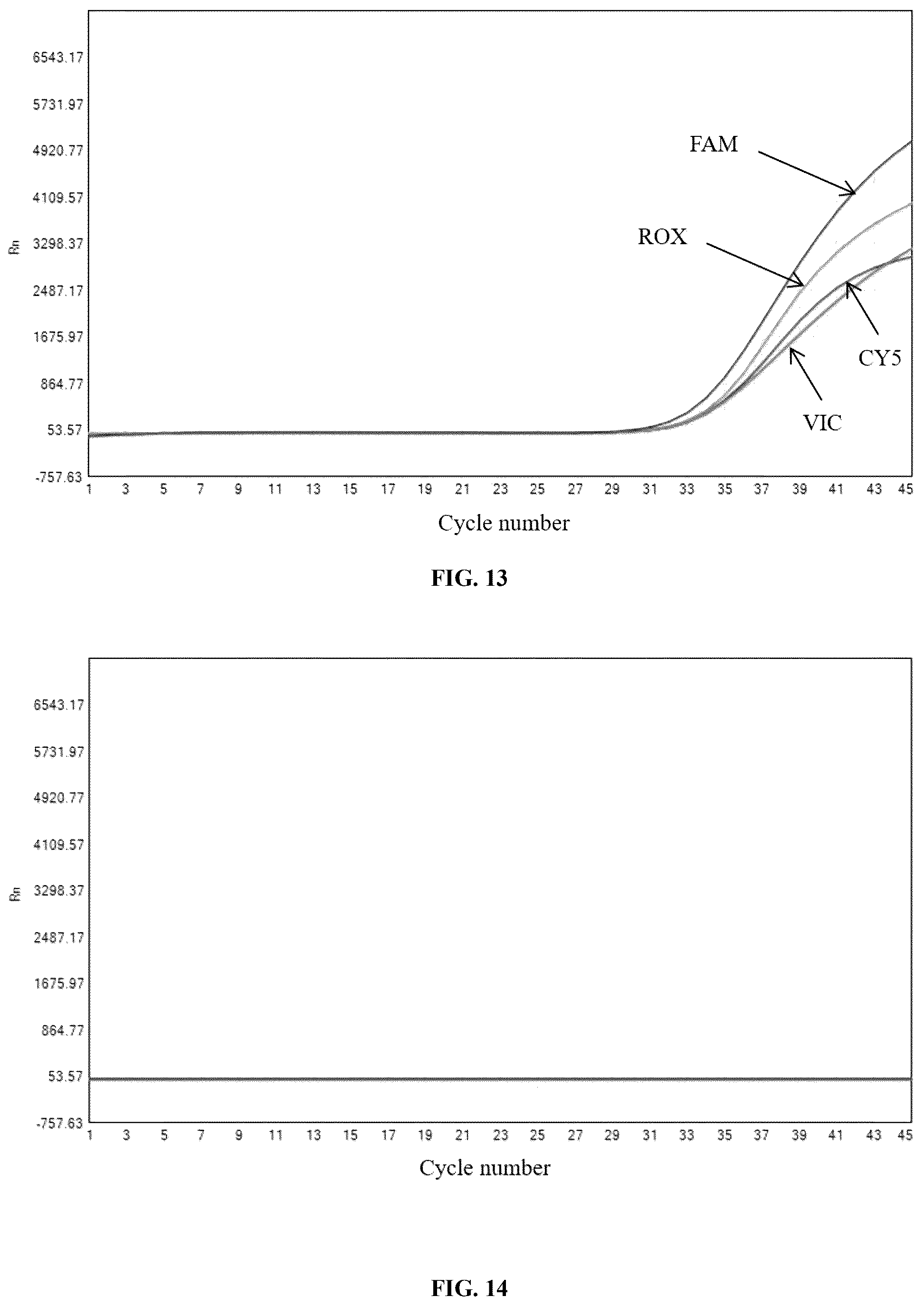 Patent US12480153 Figure 6 – Primer and probe composition for cat blood type detection, detection method, and use