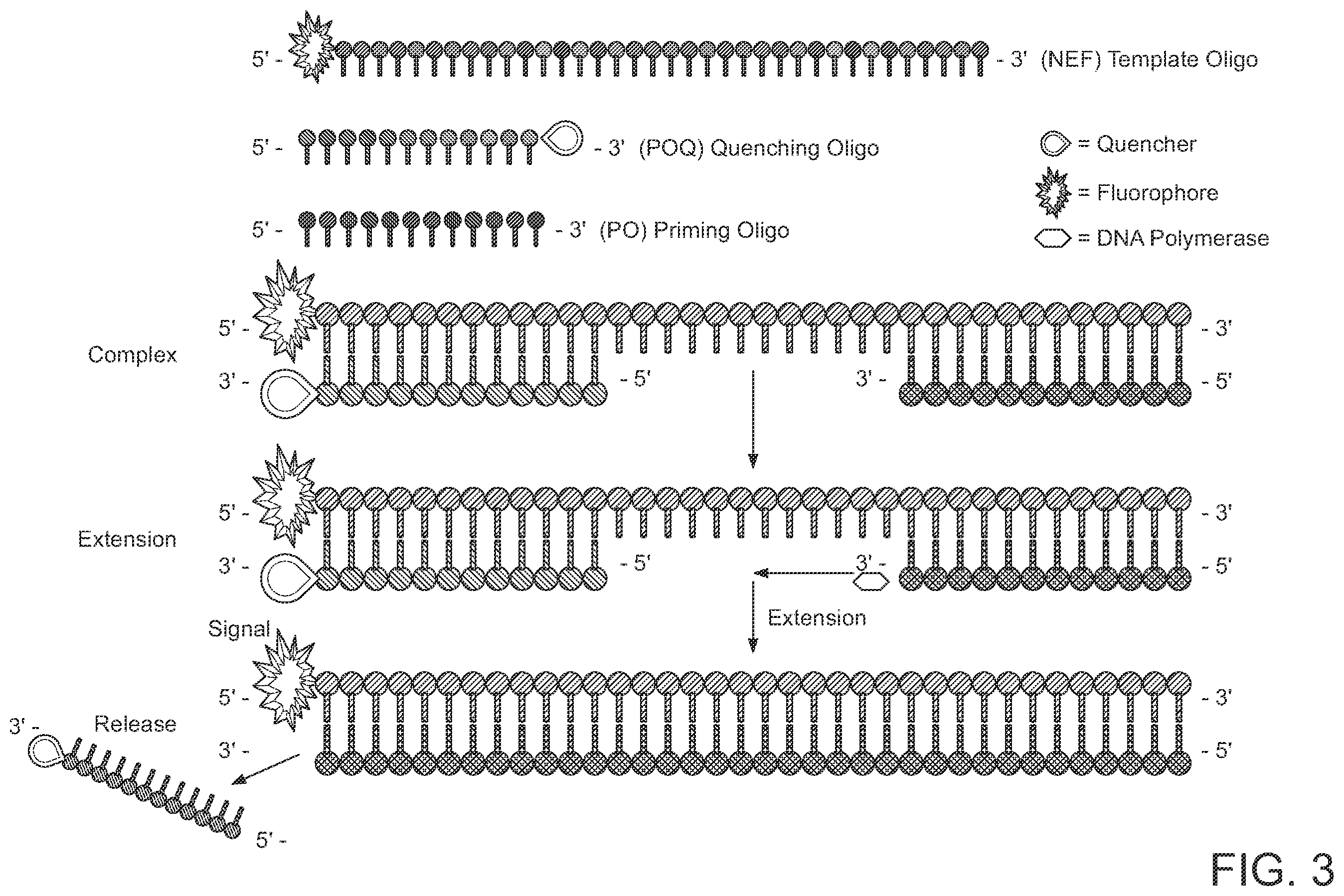 Patent US12480155 Figure 3 – Nicking enzymes