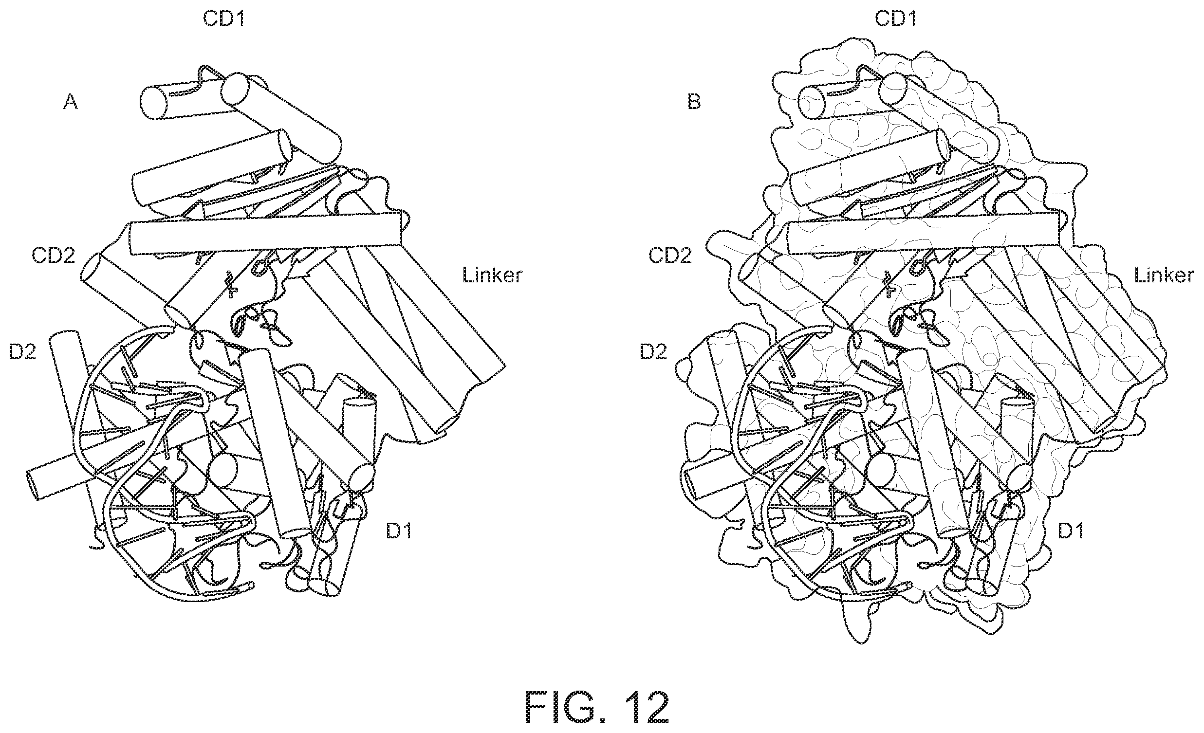 Patent US12480155 Figure 14 – Nicking enzymes