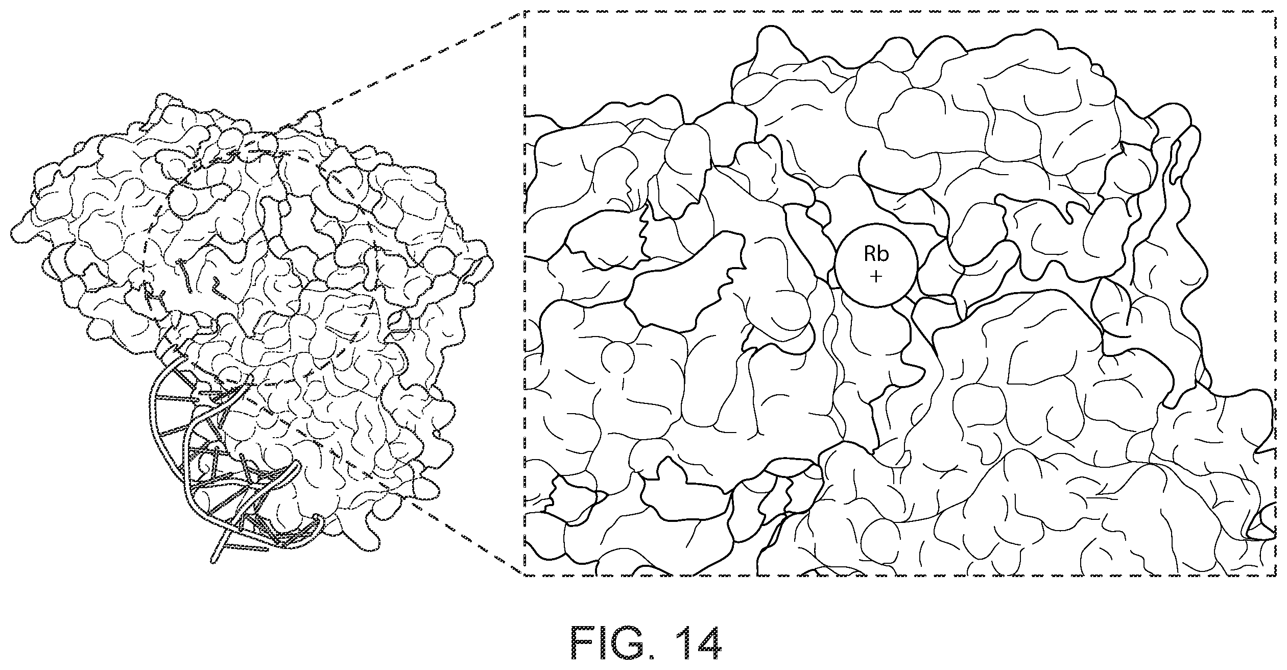 Patent US12480155 Figure 16 – Nicking enzymes