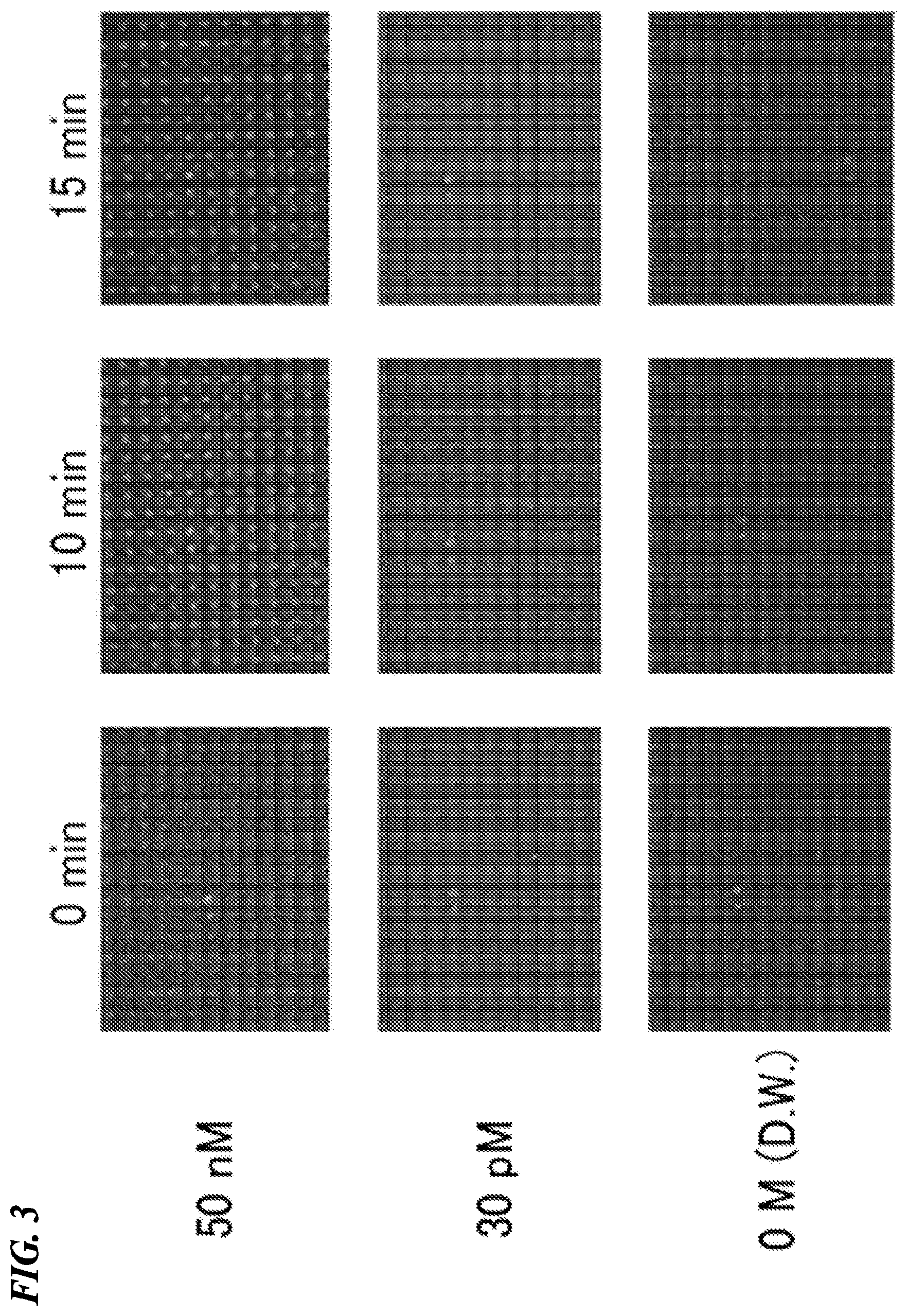 Patent US12480156 Figure 2 – Biomolecule analysis method