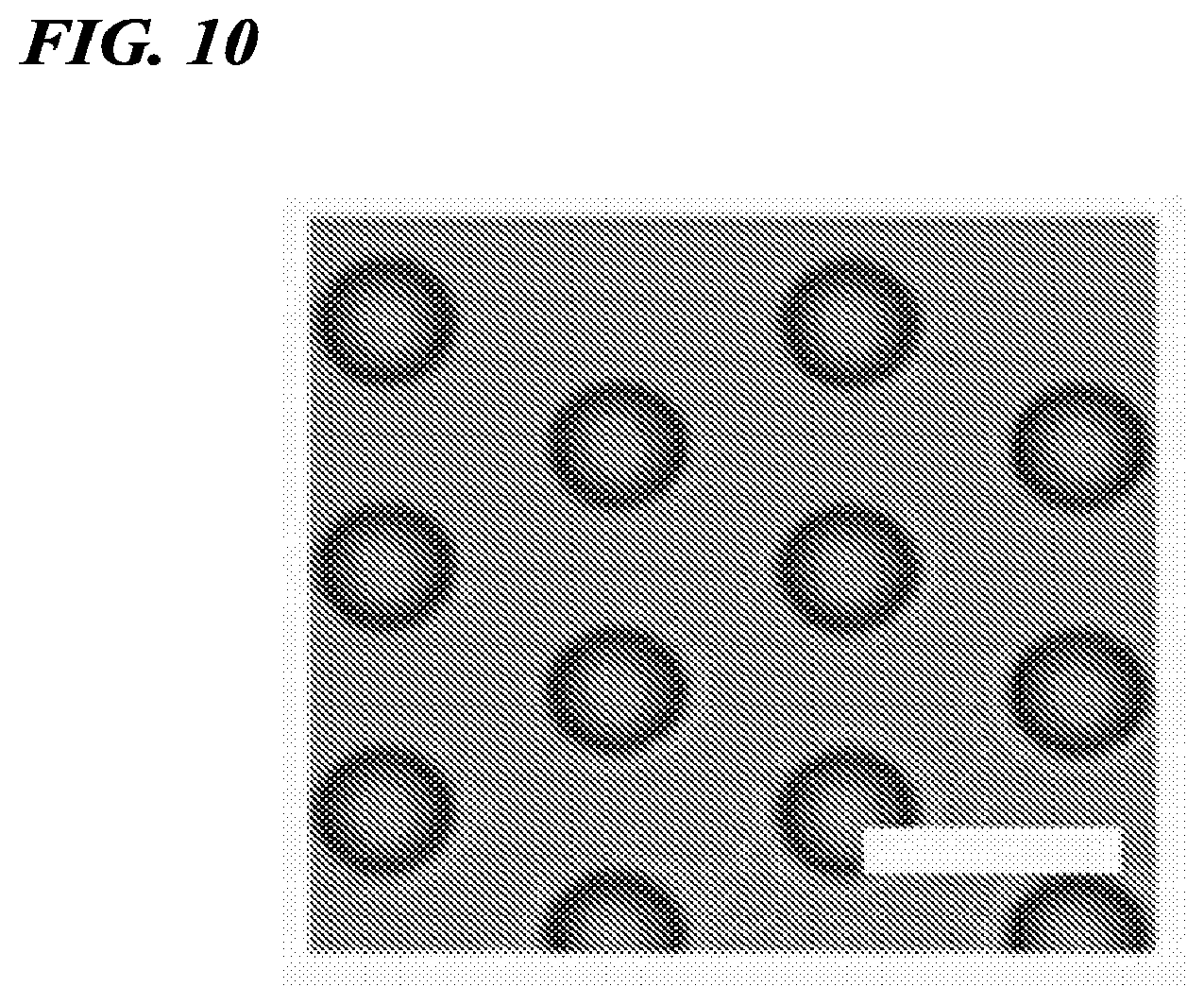 Patent US12480156 Figure 6 – Biomolecule analysis method