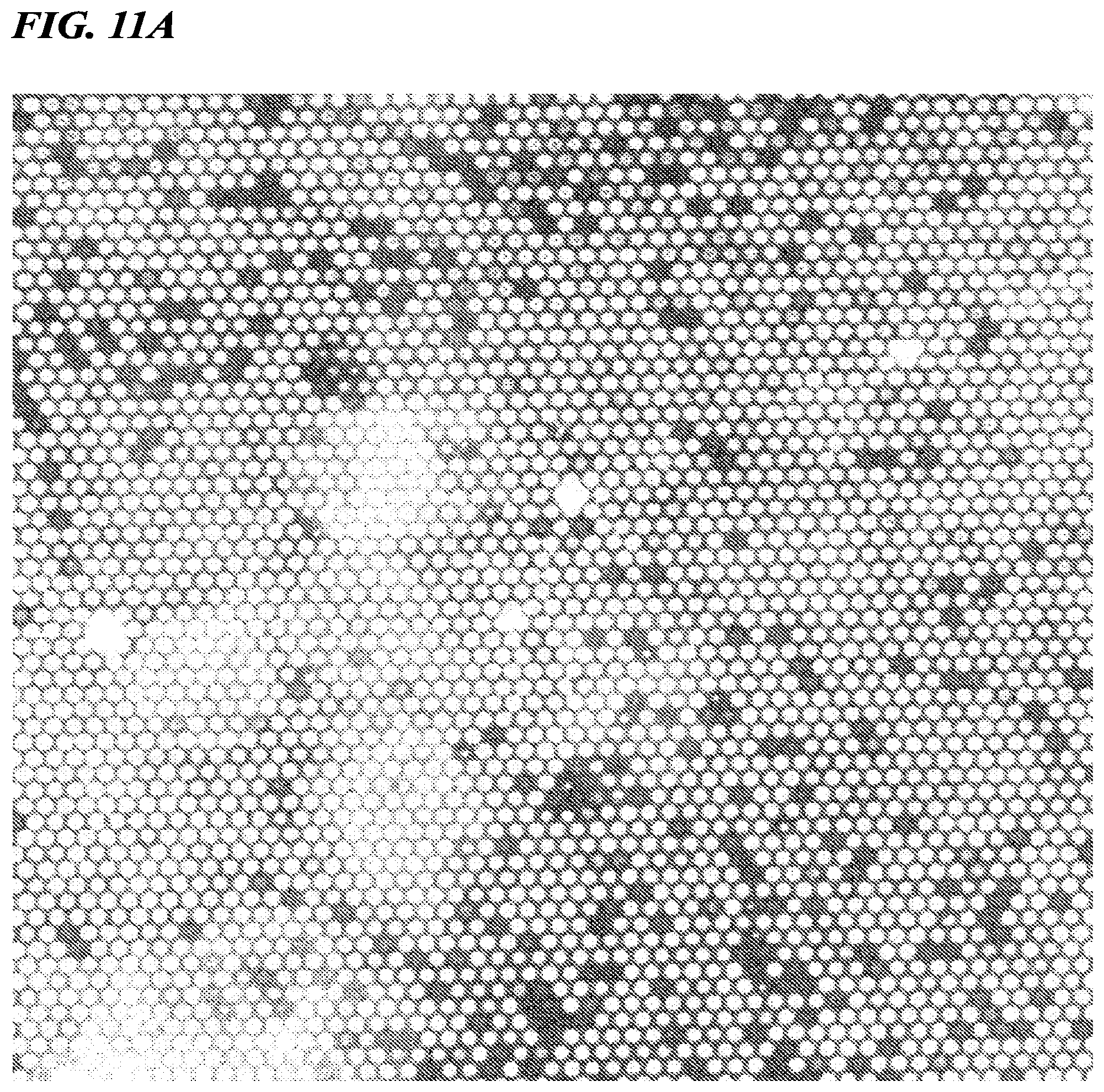 Patent US12480156 Figure 7 – Biomolecule analysis method